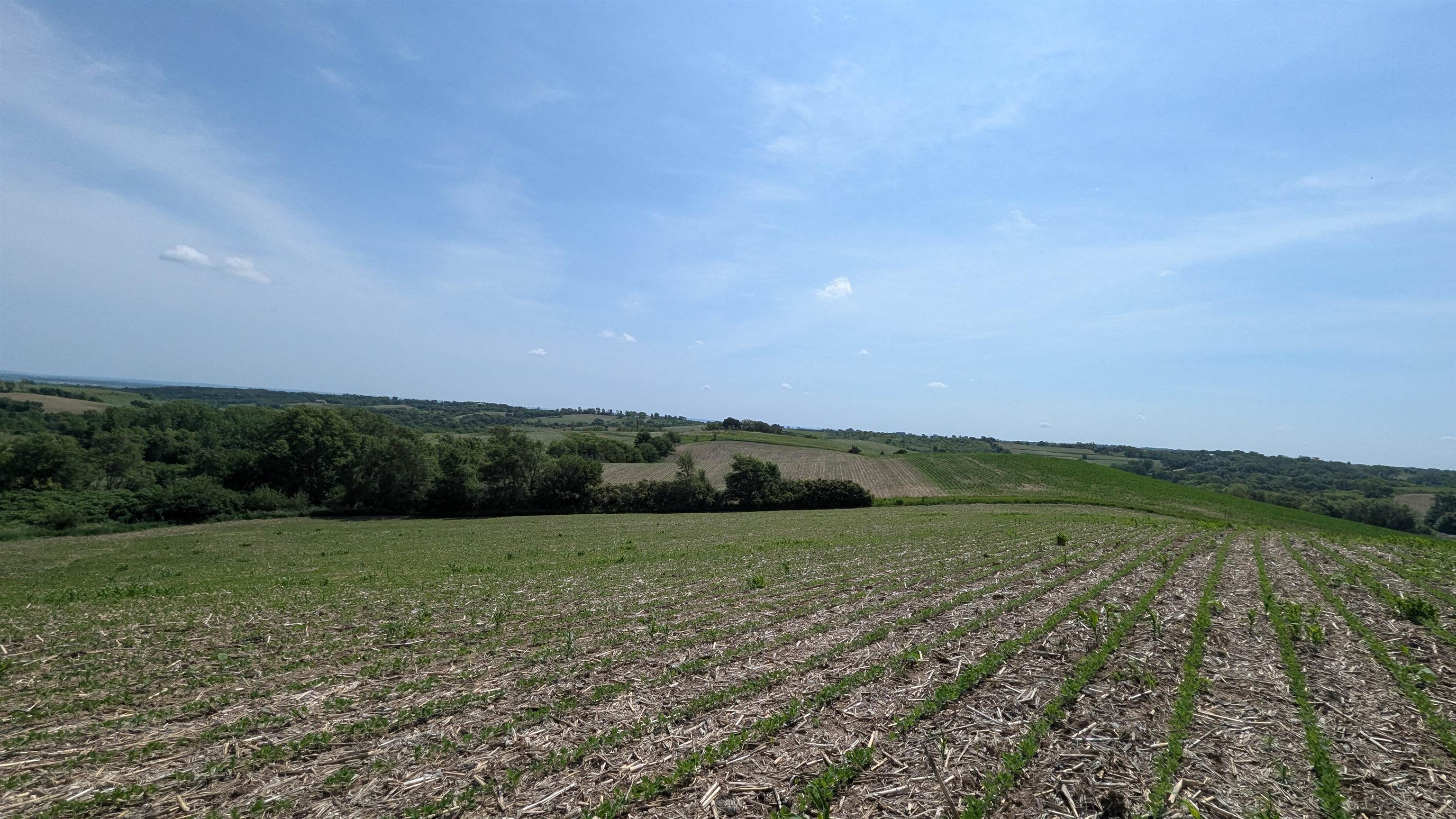 Tract 7 County Road 22, Blair, Nebraska image 9