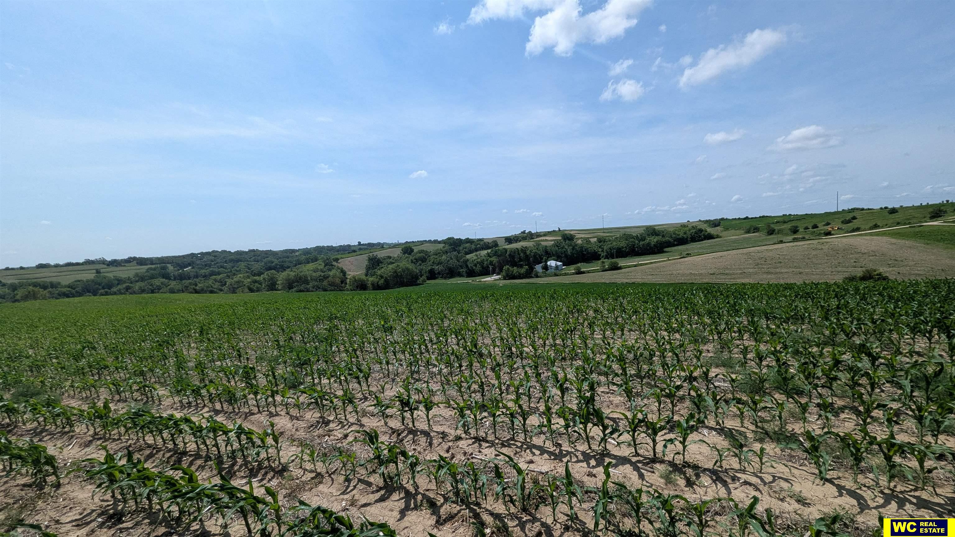 Tract 8 County Road 22, Blair, Nebraska image 9