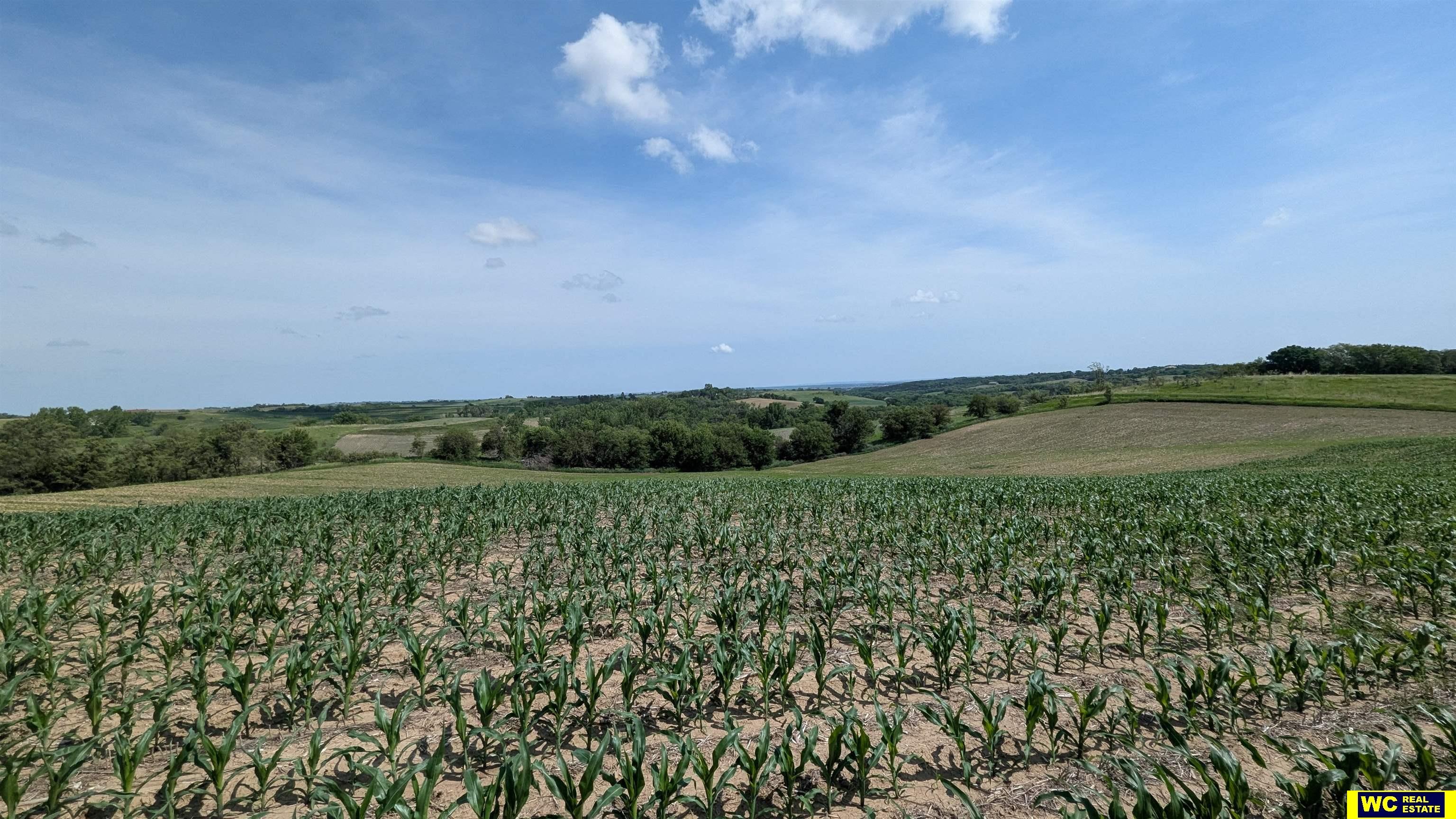 Tract 9 County Road 22, Blair, Nebraska image 9