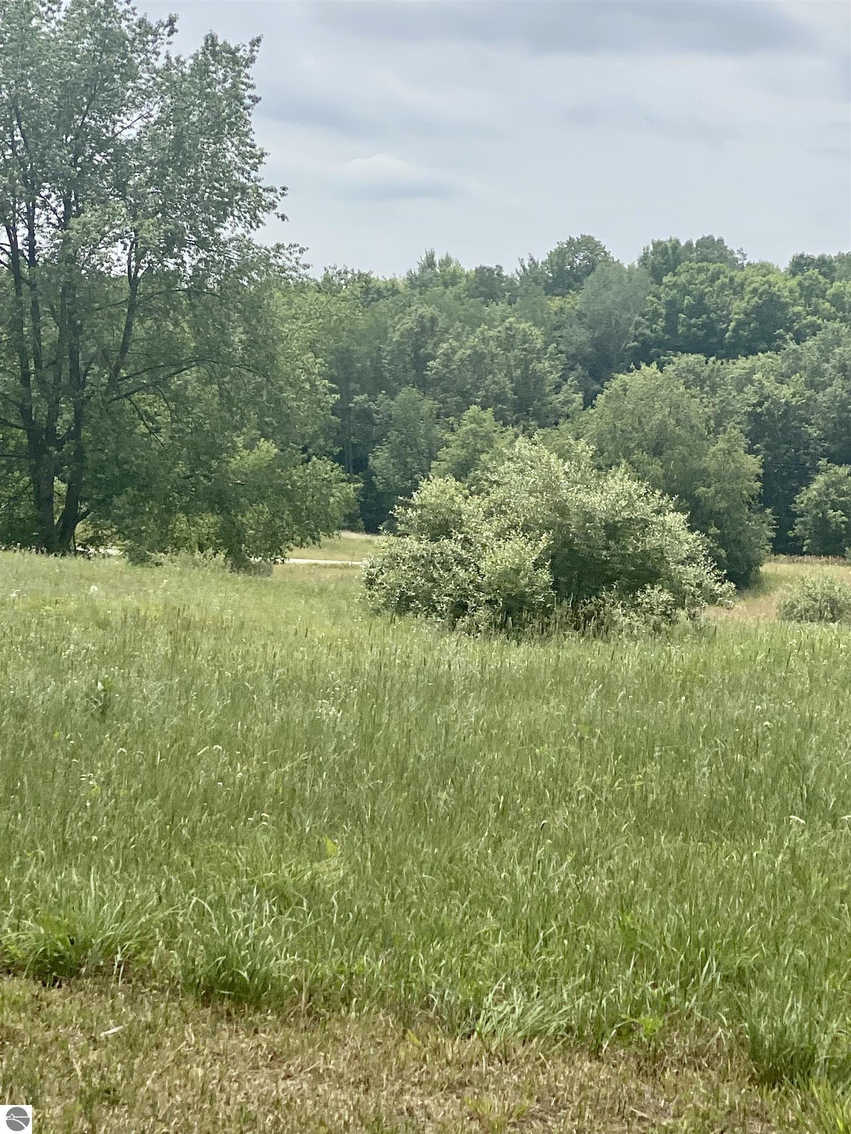 UNIT 3 Sequoia Court MLS ID 1901608 Cygnus Real Estate