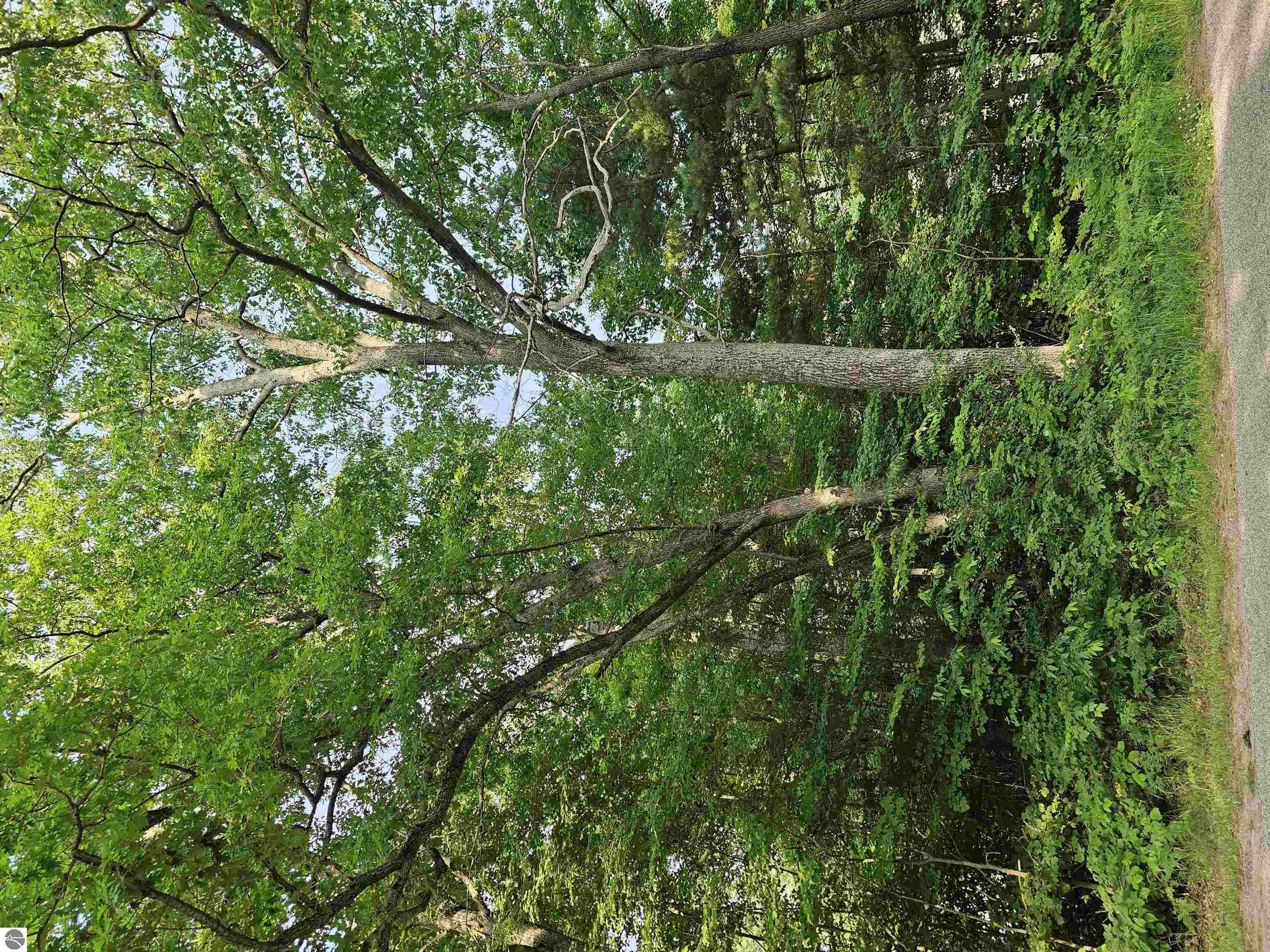 N/A Goldenrod Unit South Houghton Lake Forest Estates MLS ID