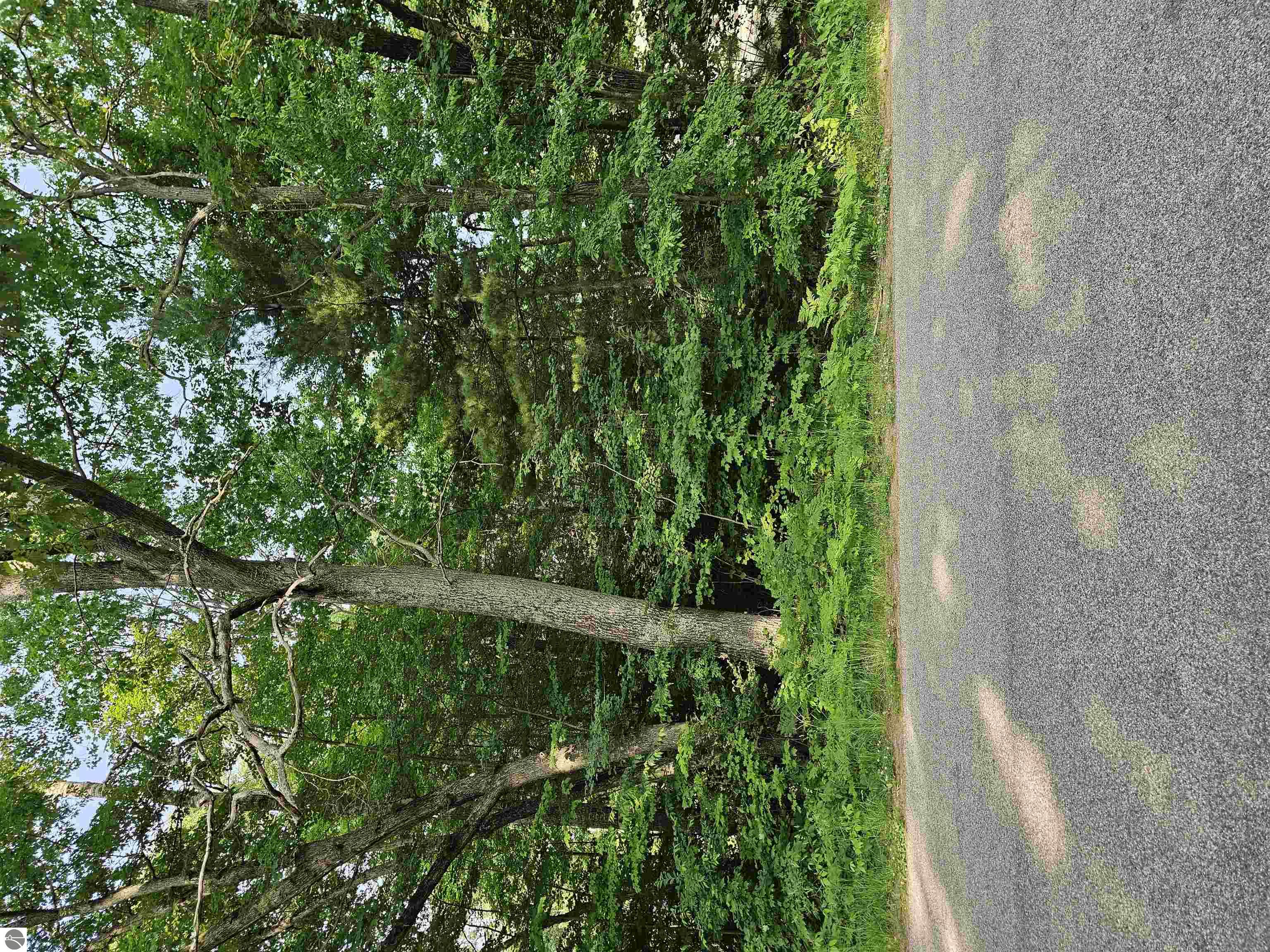 N/A Goldenrod Unit South Houghton Lake Forest Estates MLS ID