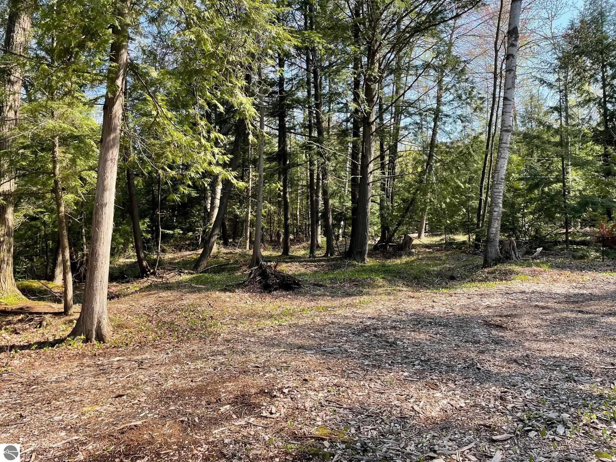 583 Twin Pines Drive