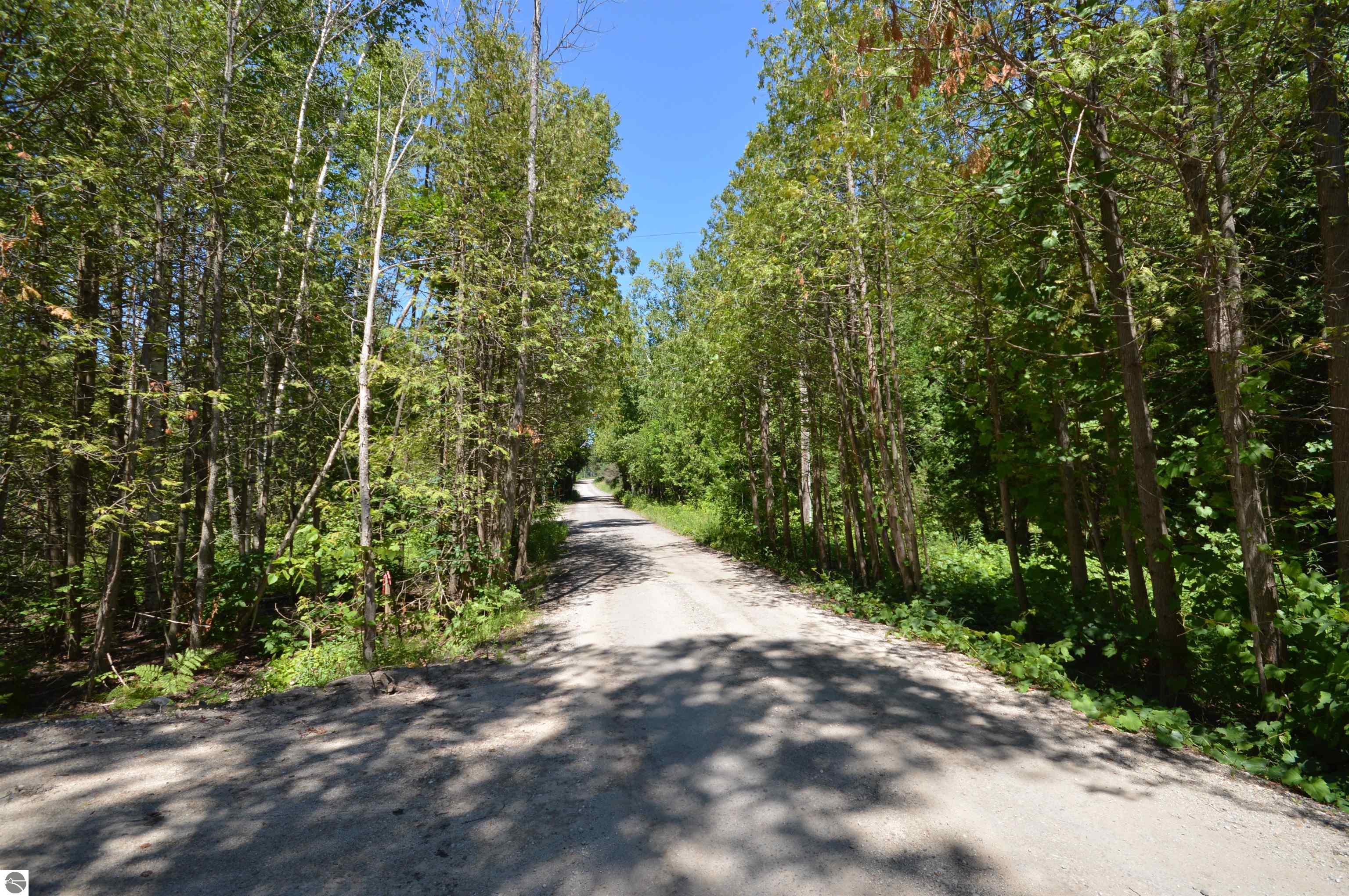 583 Twin Pines Drive