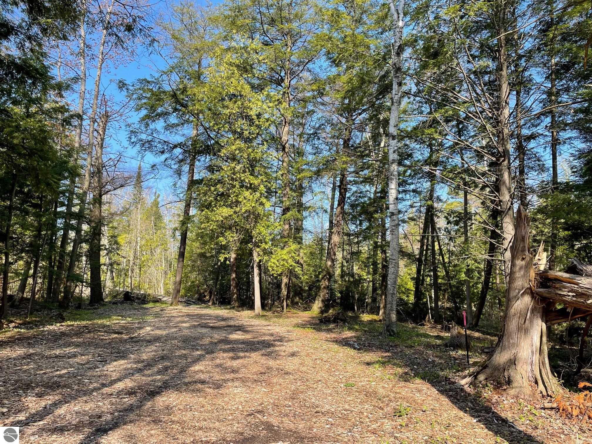 583 TBB Twin Pines Drive
