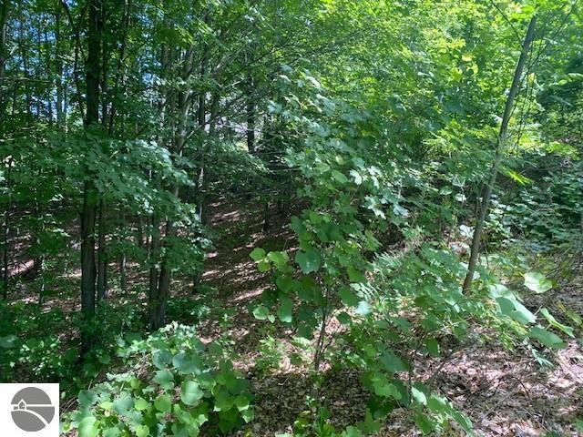 0 Leelanau Hills Drive