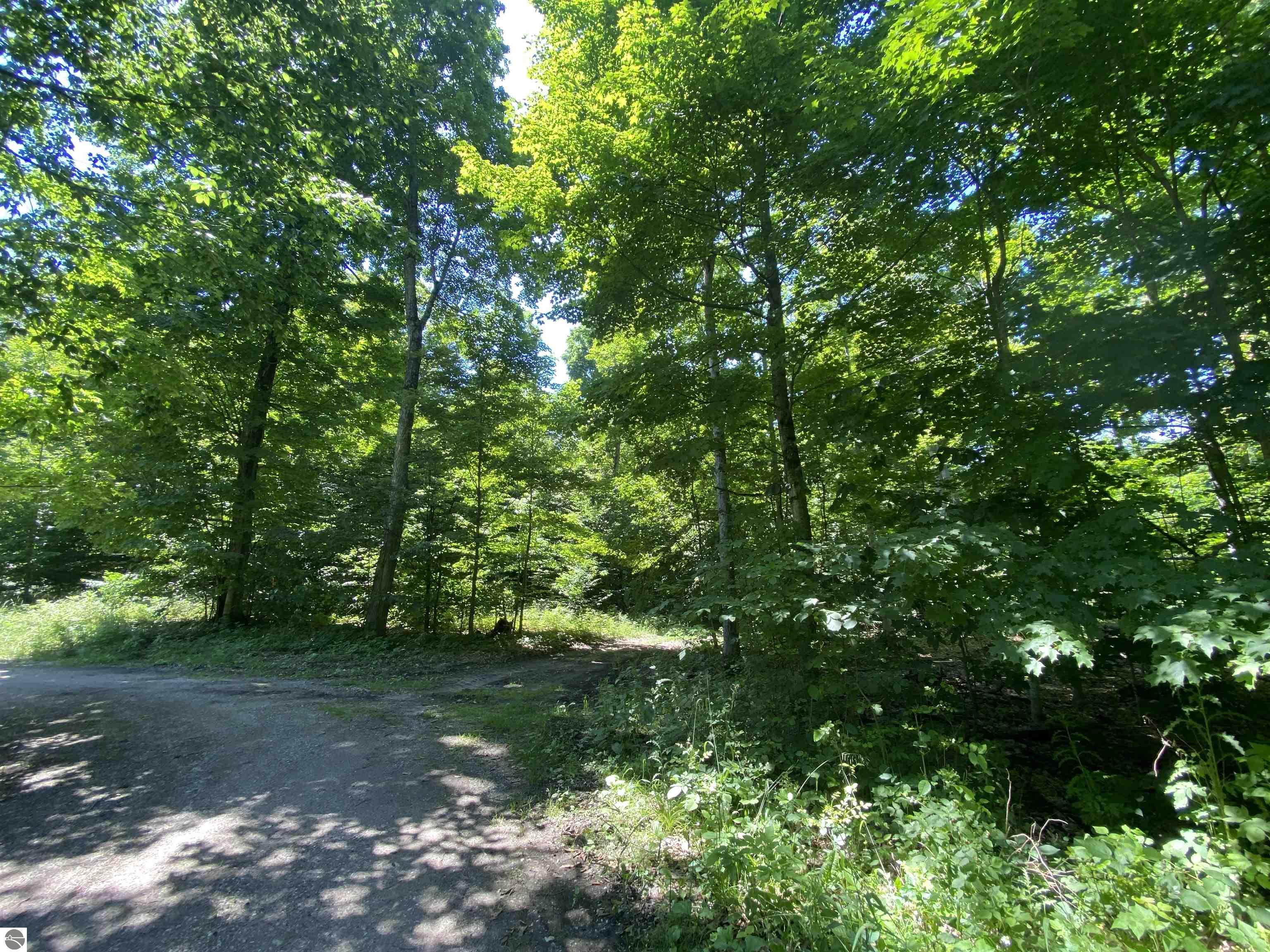 Benzonia Trail