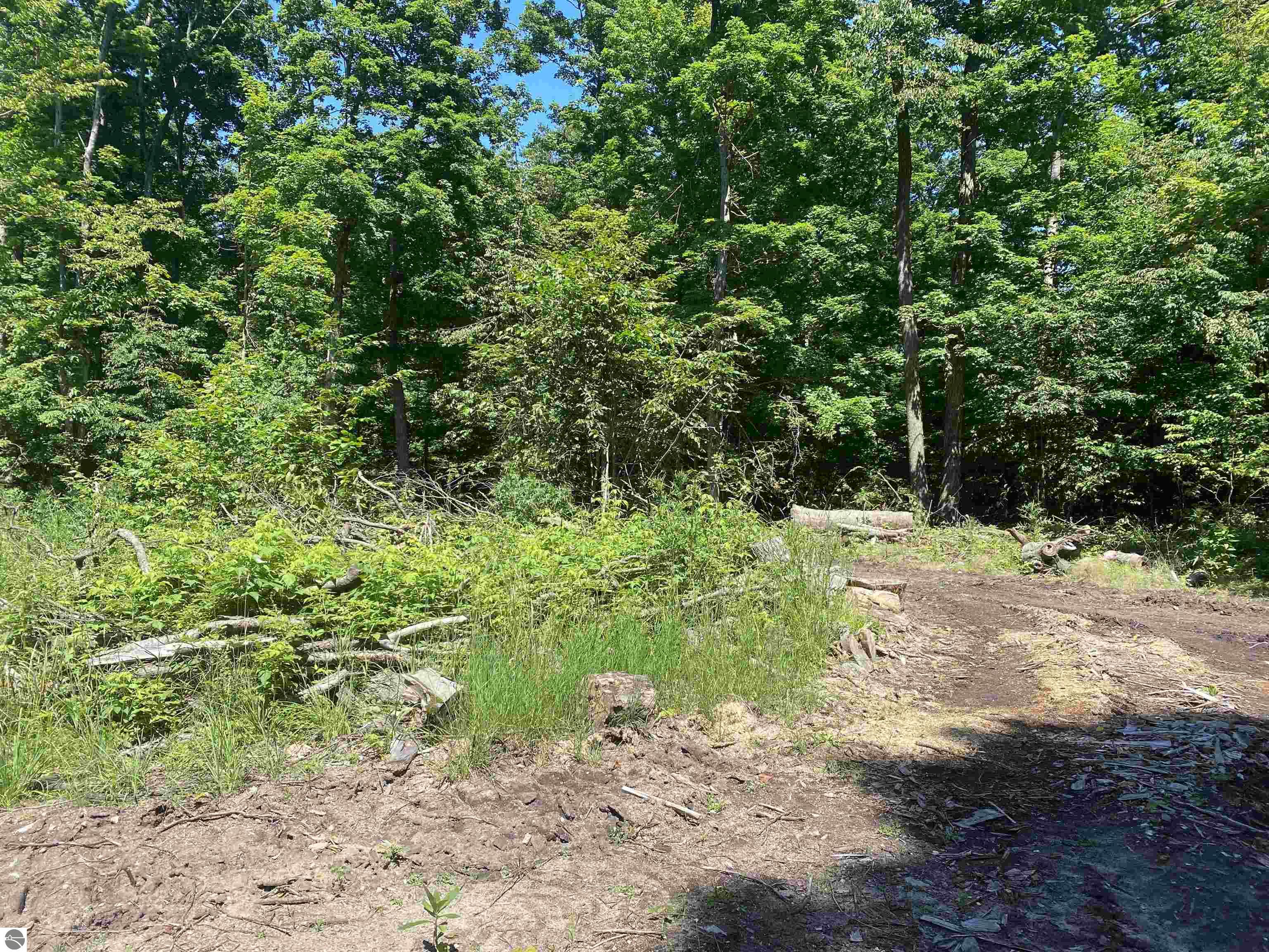 Benzonia Trail