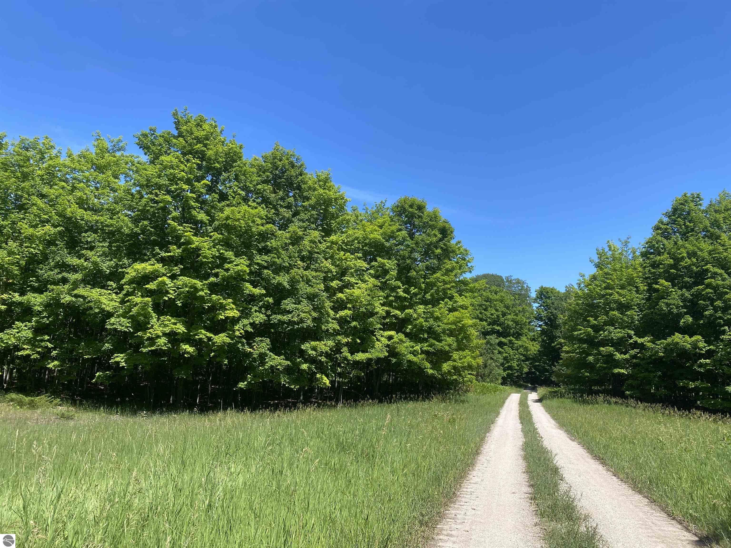 Benzonia Trail