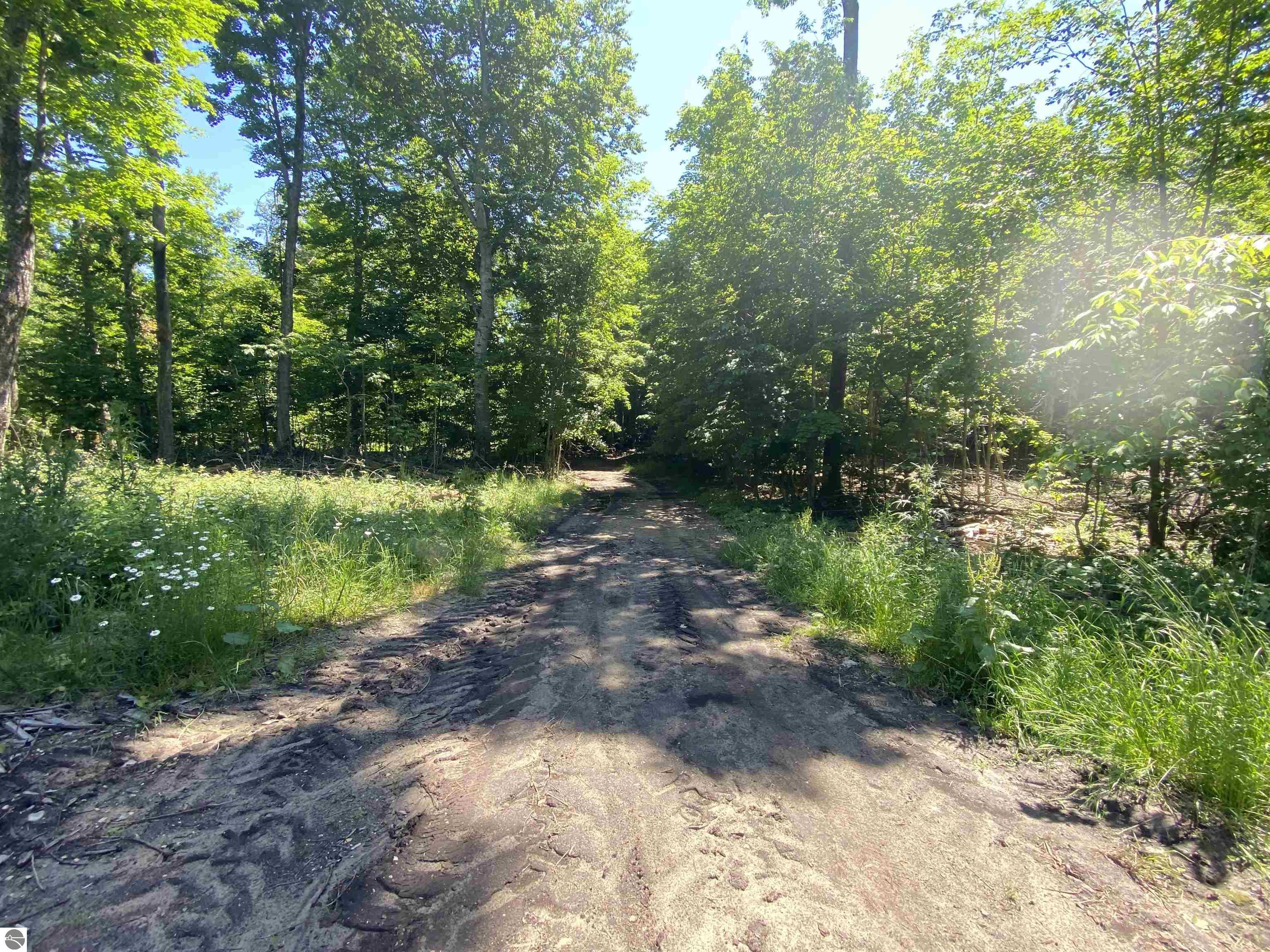 Benzonia Trail
