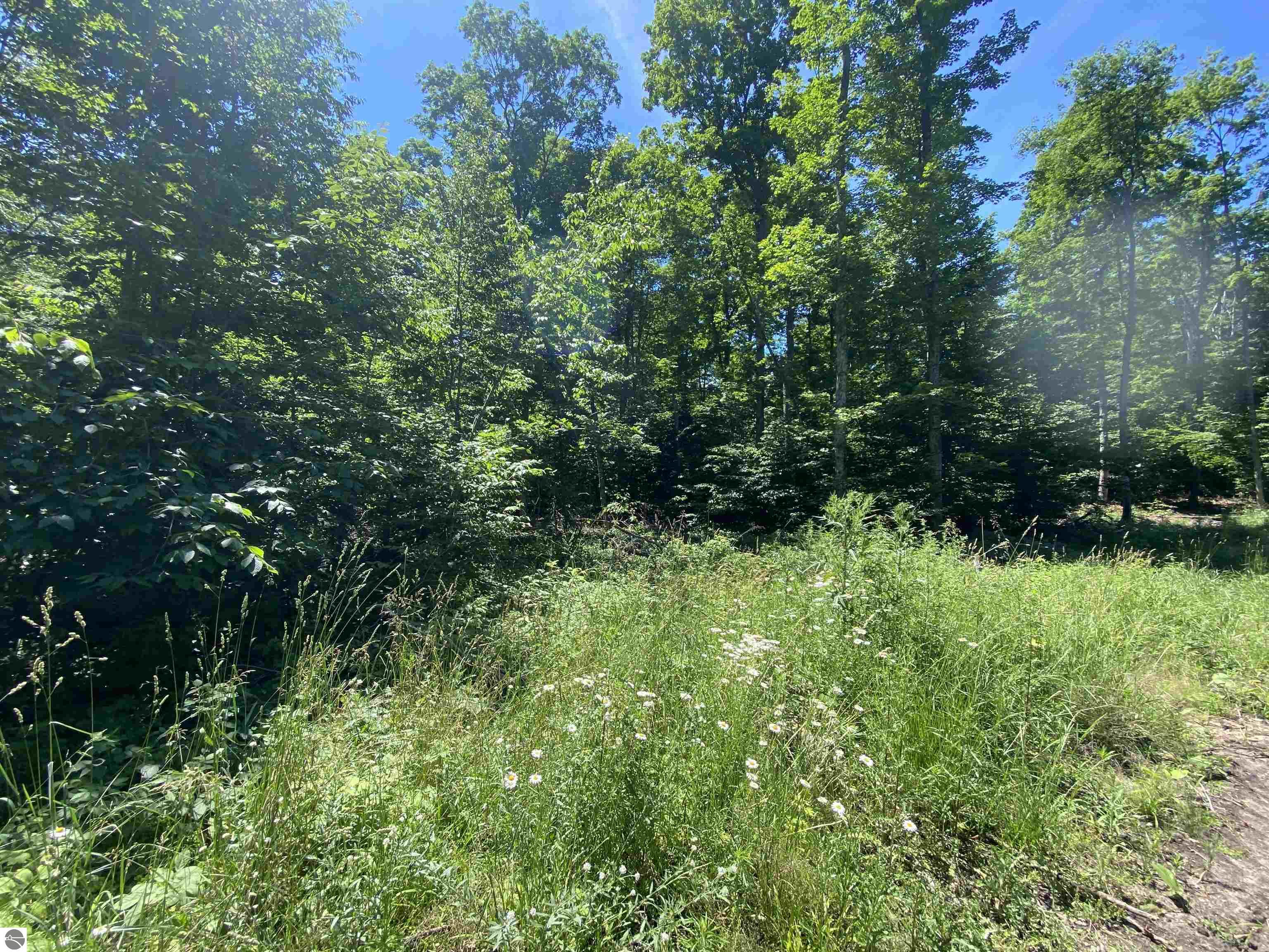 Benzonia Trail
