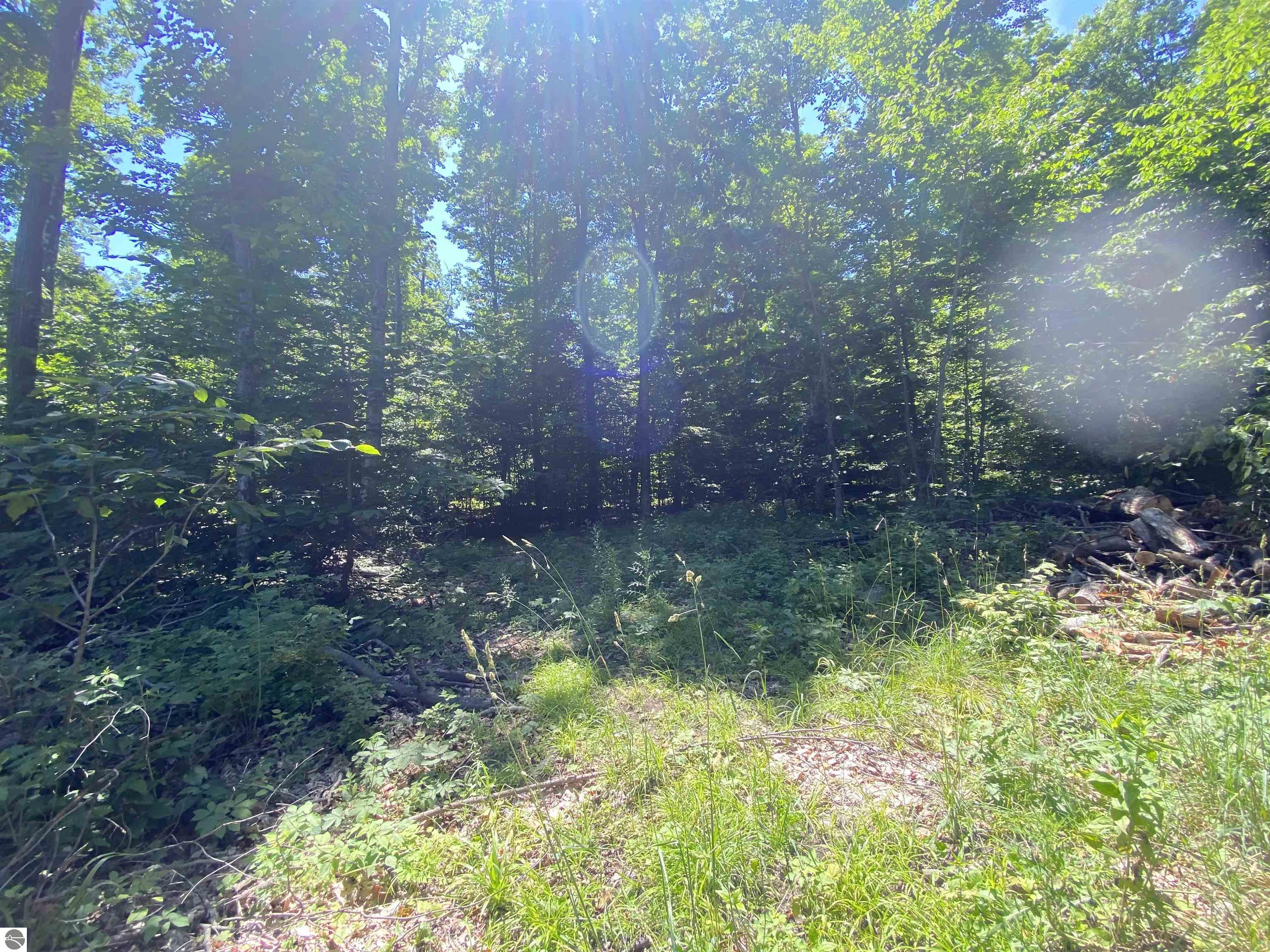 Benzonia Trail