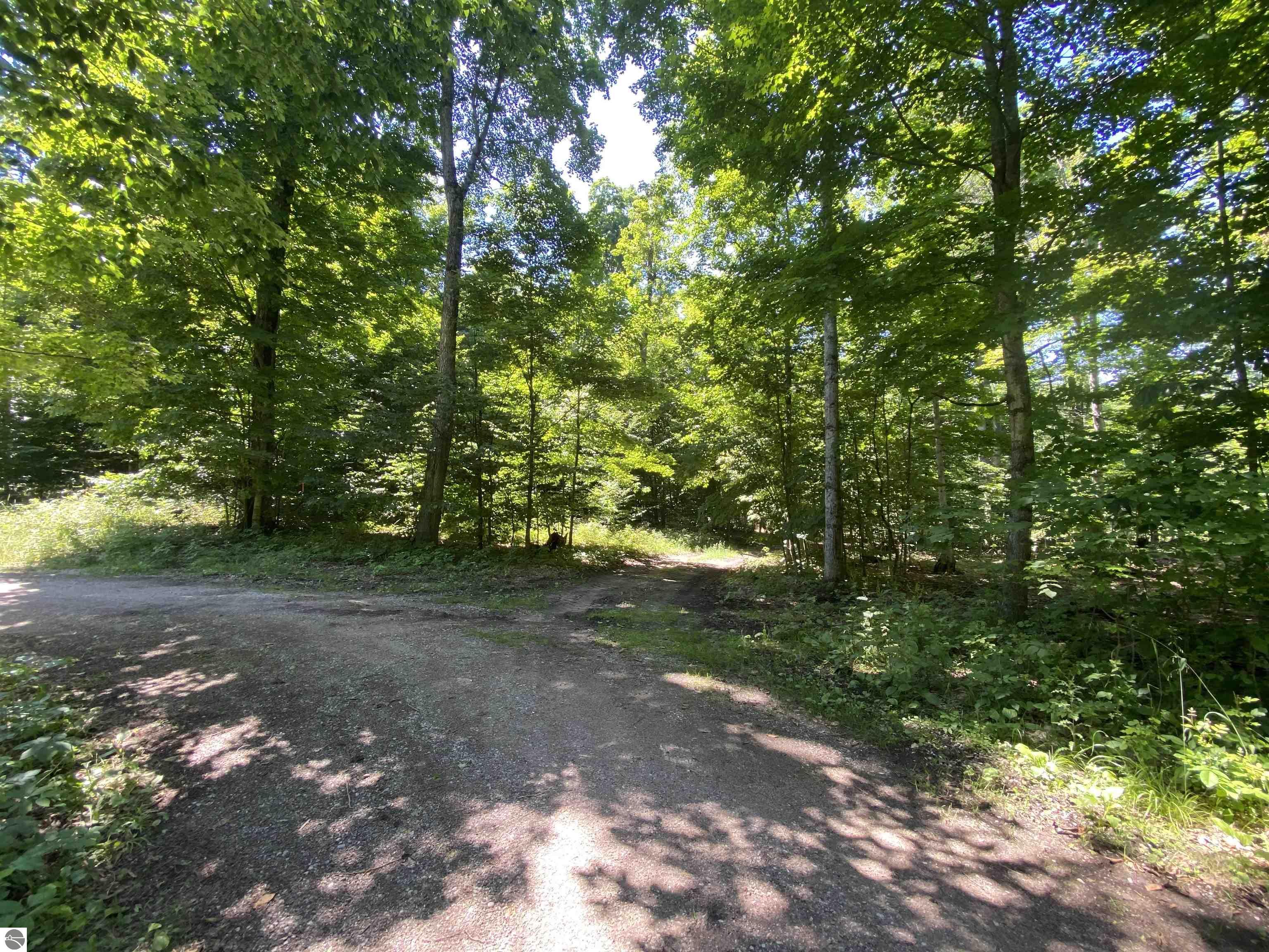 Benzonia Trail