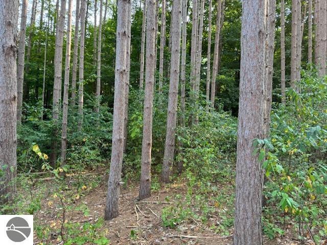 0 Benzonia Trail