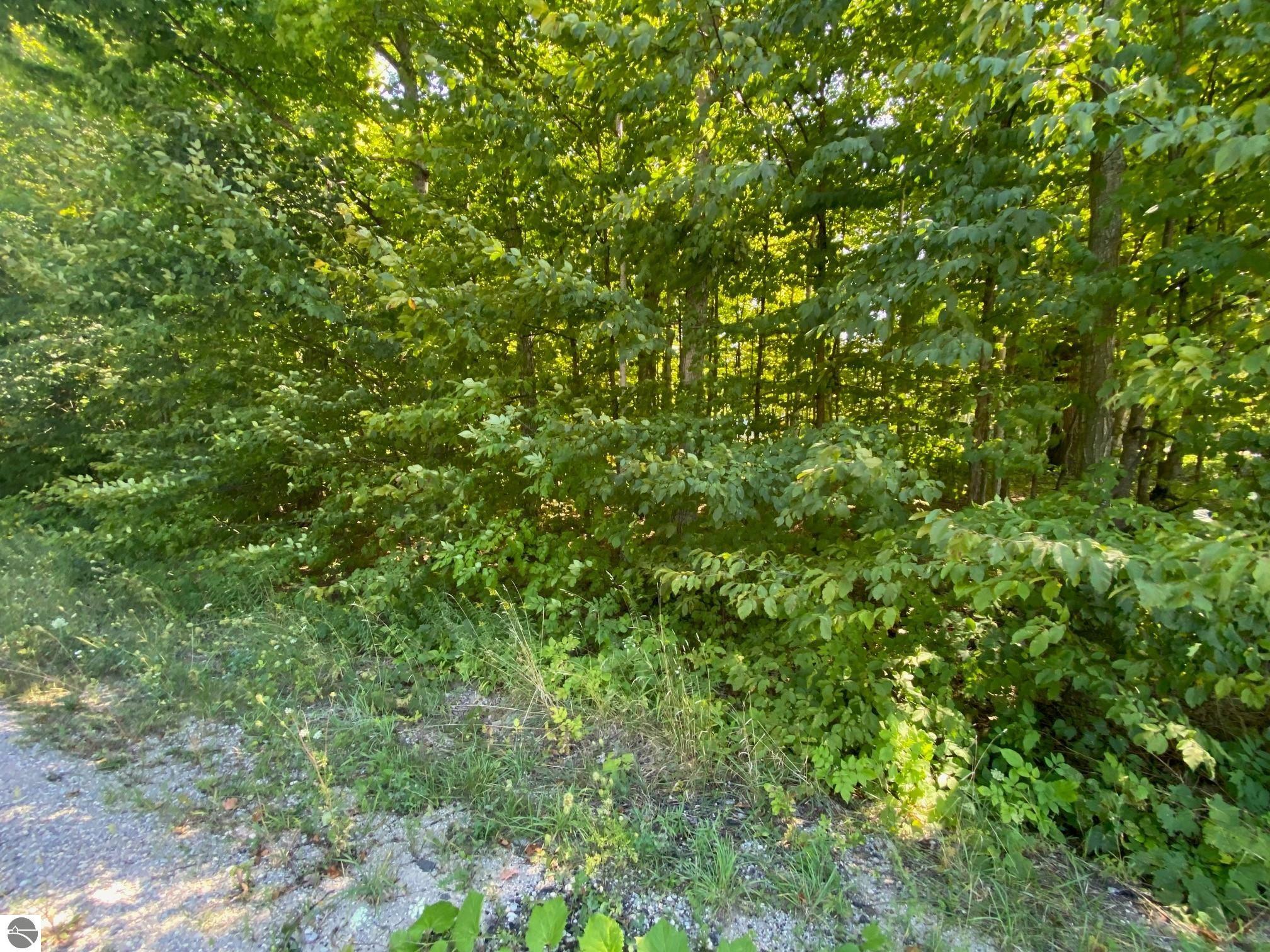 Lot 134 Cherry Lane