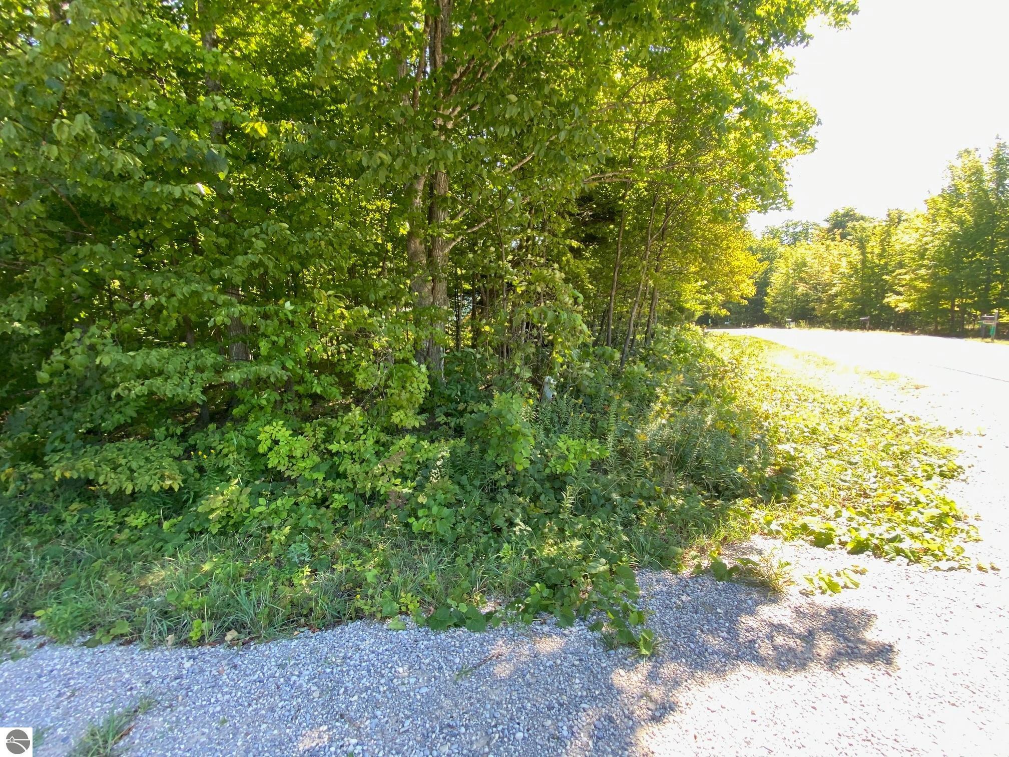 Lot 134 Cherry Lane