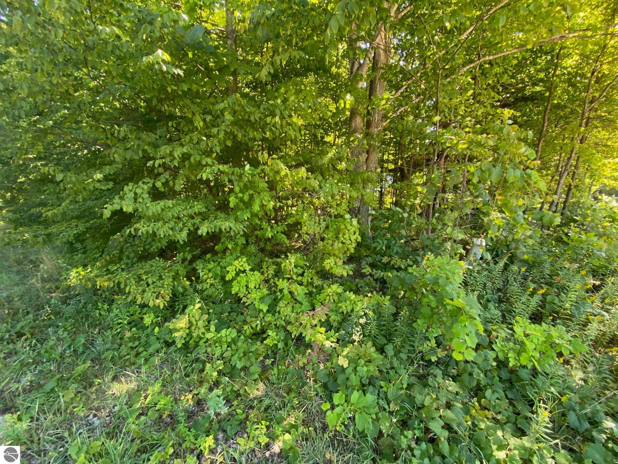 Lot 134 Cherry Lane