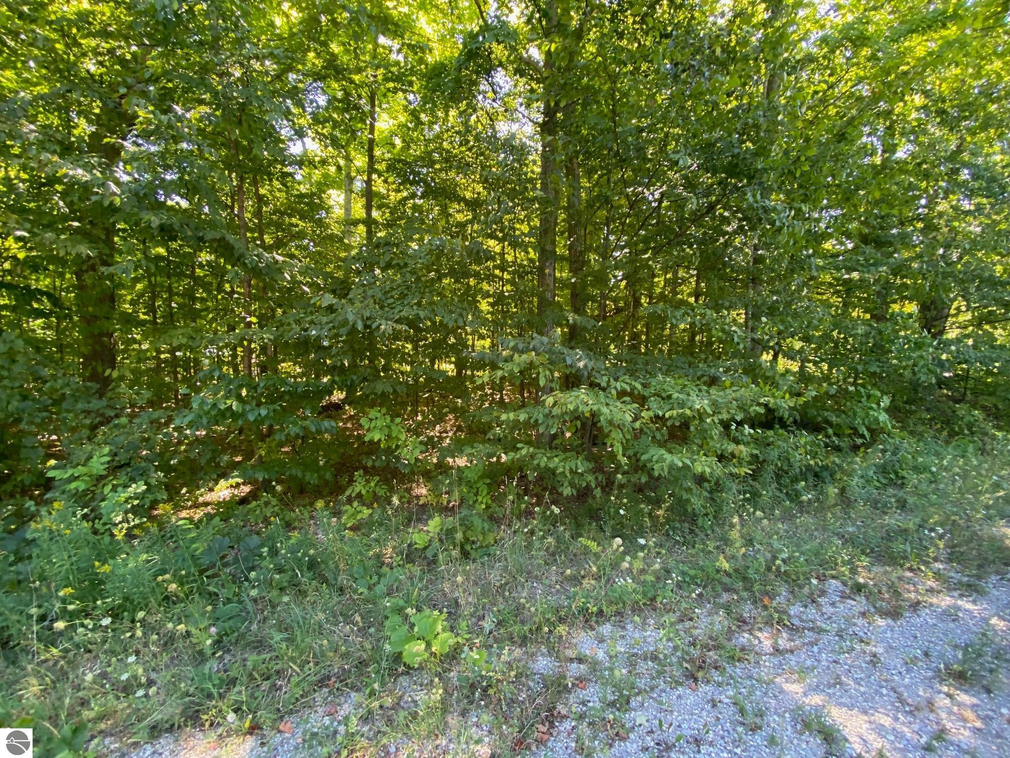 Lot 134 Cherry Lane