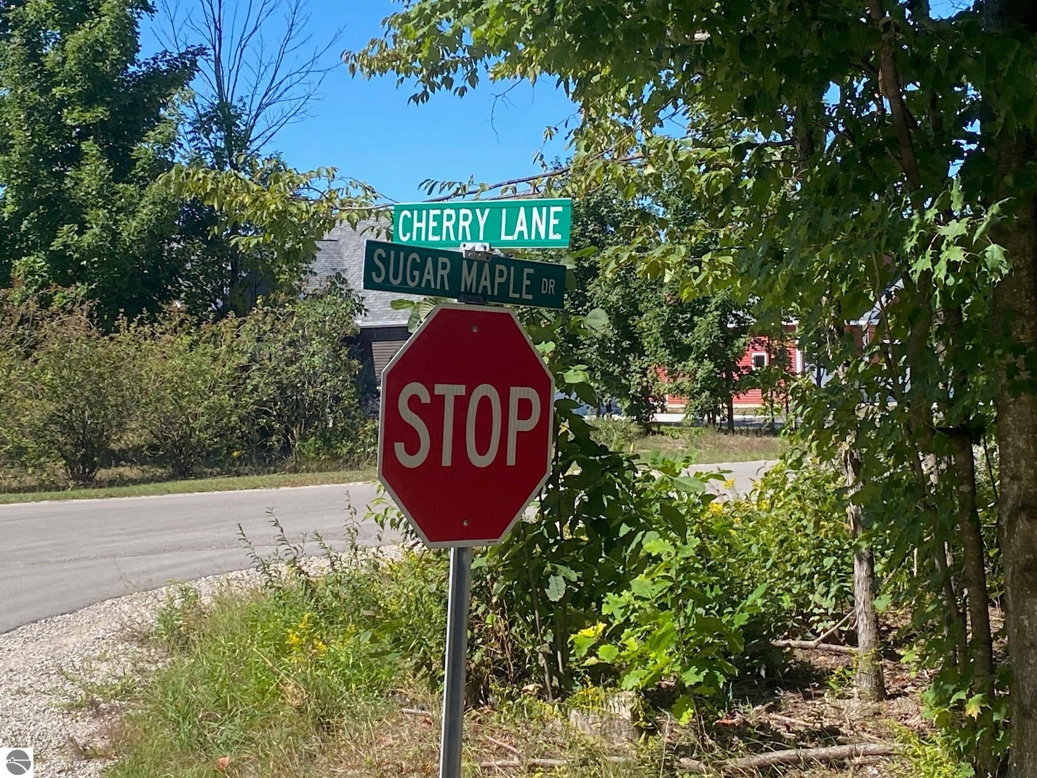 Lot 134 Cherry Lane
