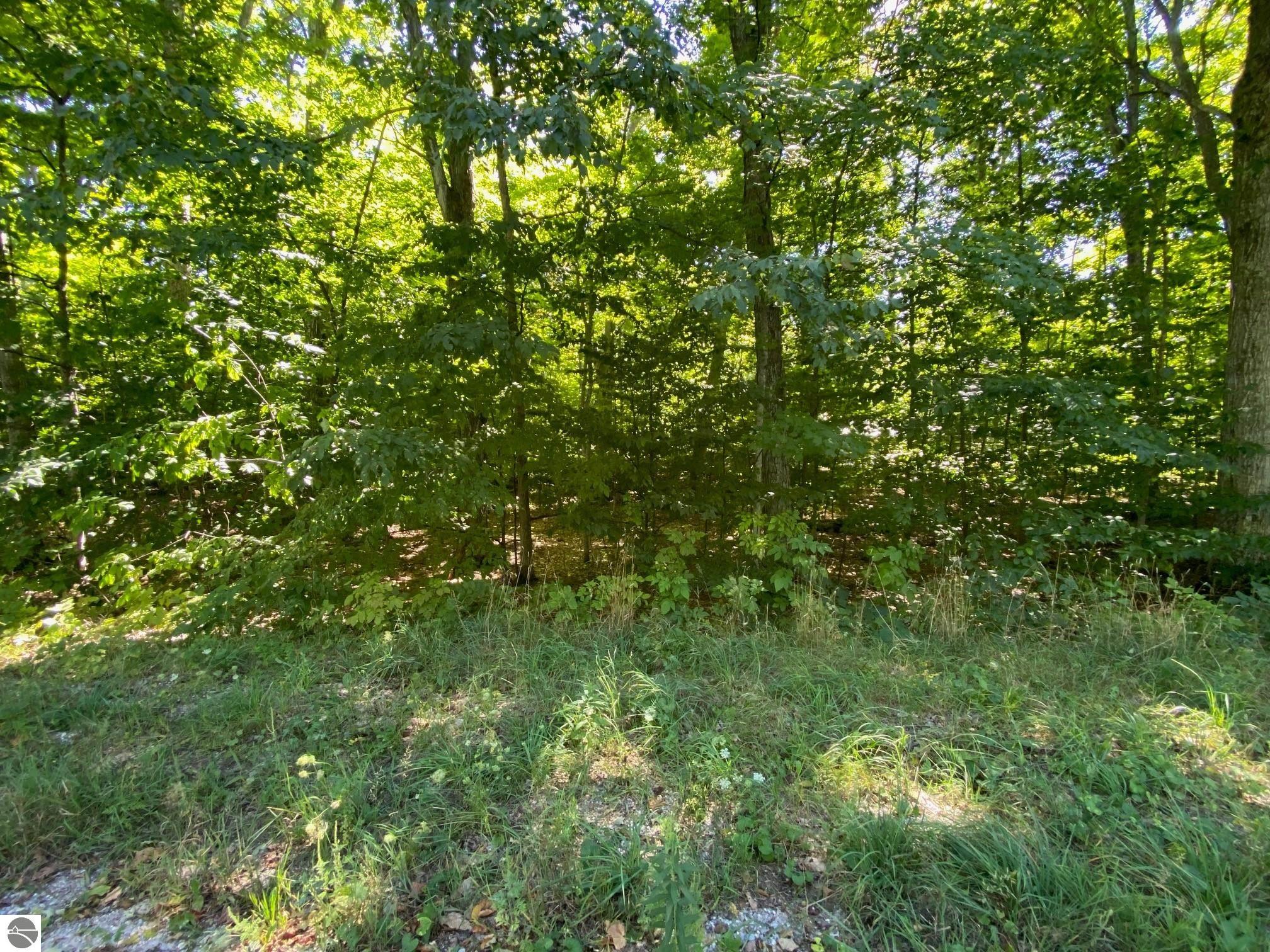 Lot 135 Cherry Lane