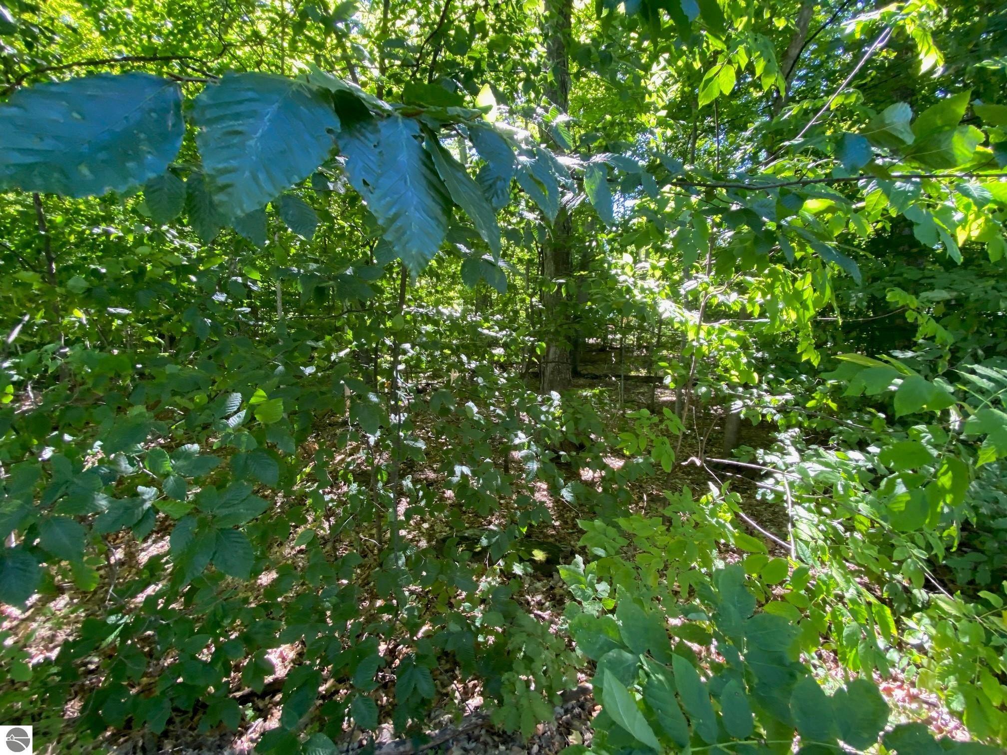 Lot 135 Cherry Lane