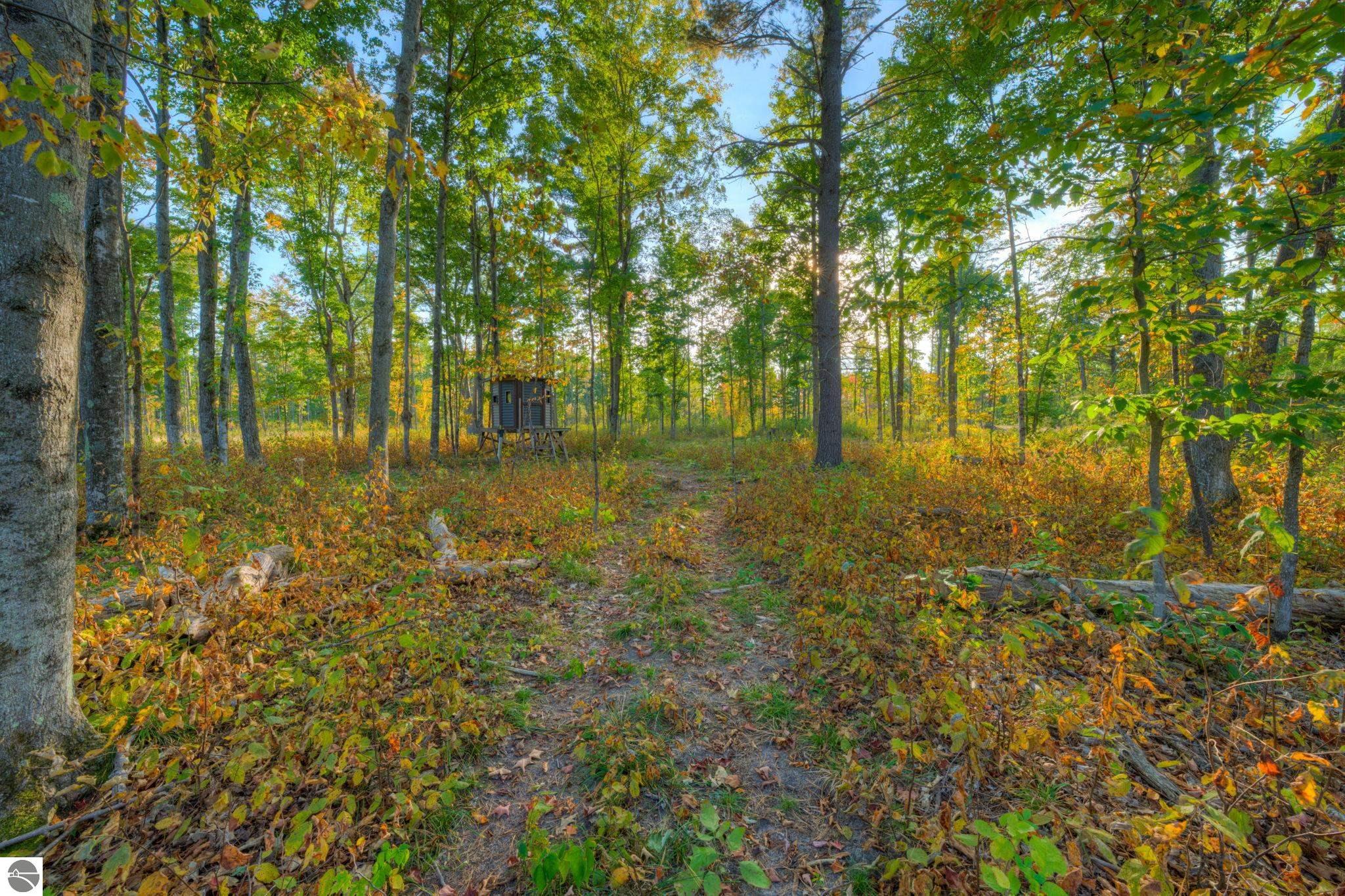 755 Carmean Road