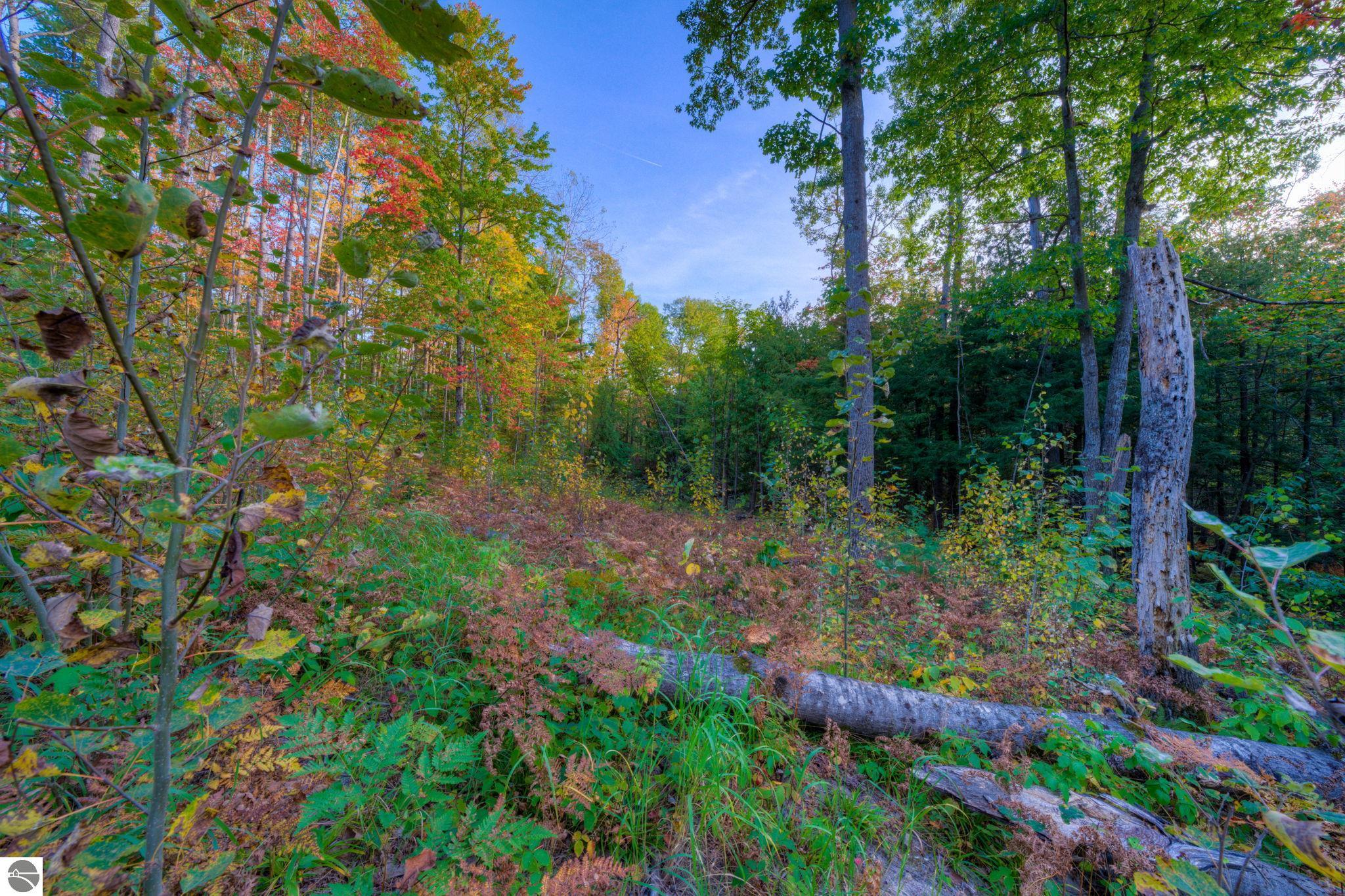 755 Carmean Road