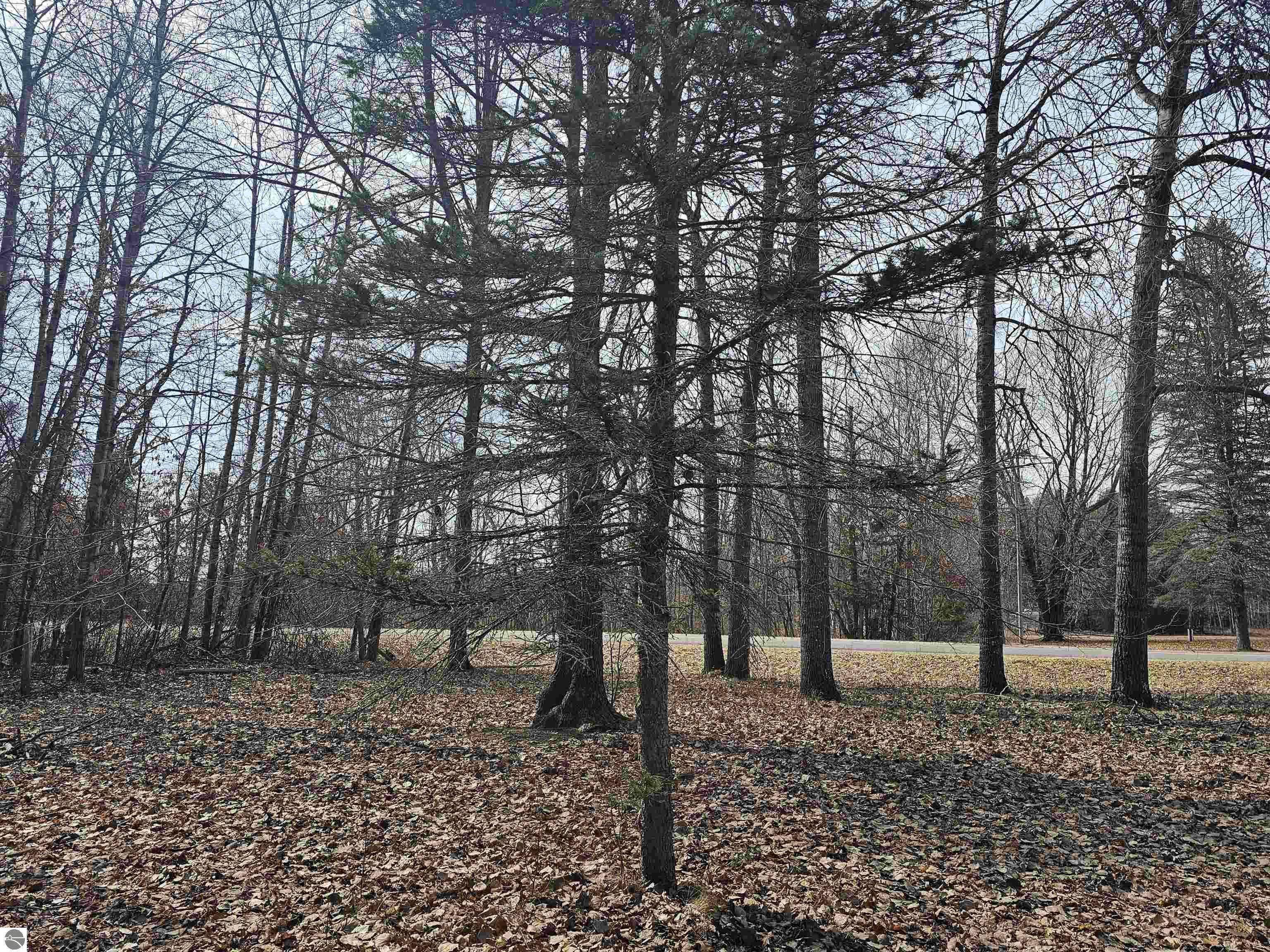 8989 Ora Lake Road