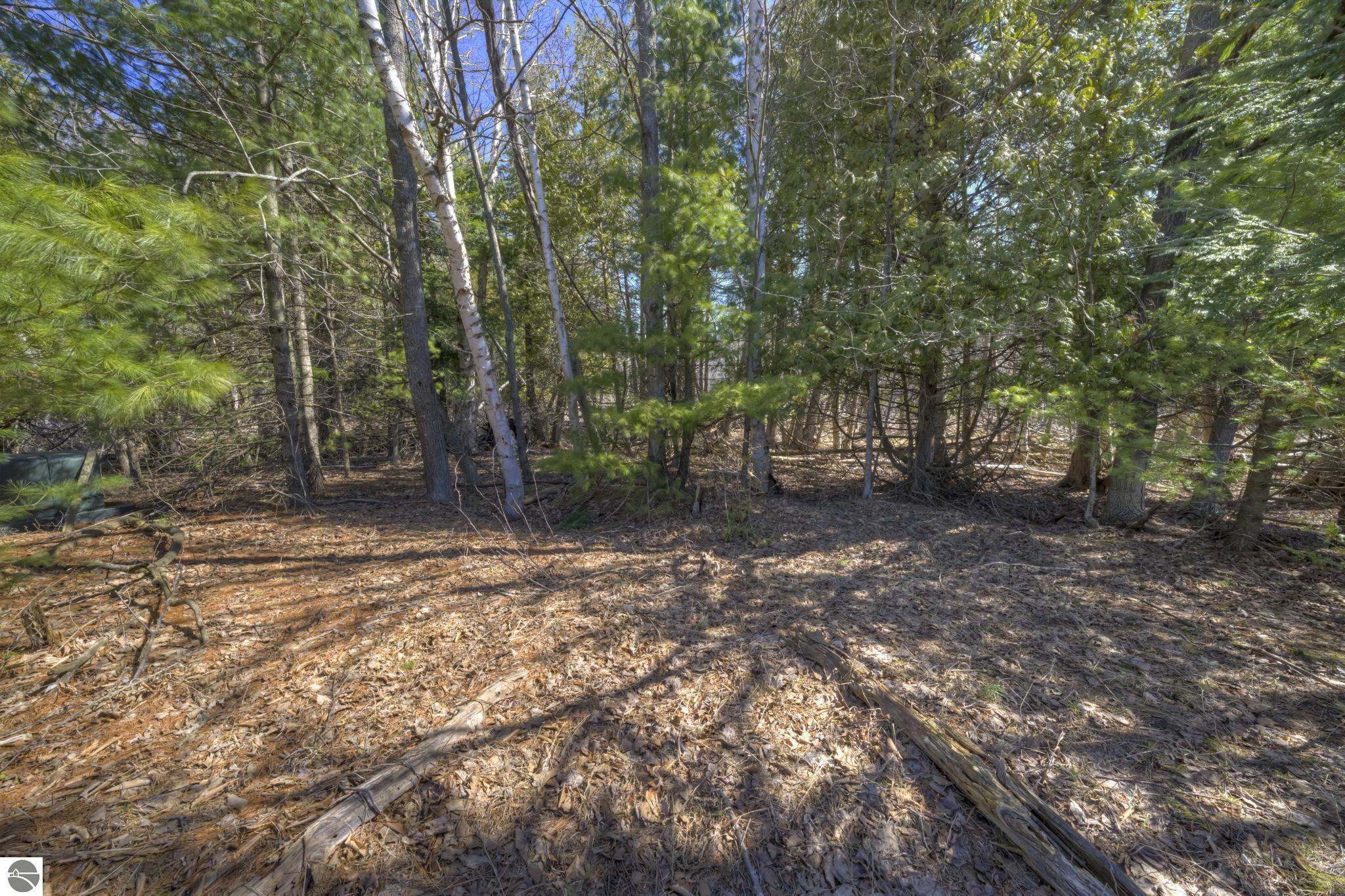 Lot 10 Micheals Woods Trail