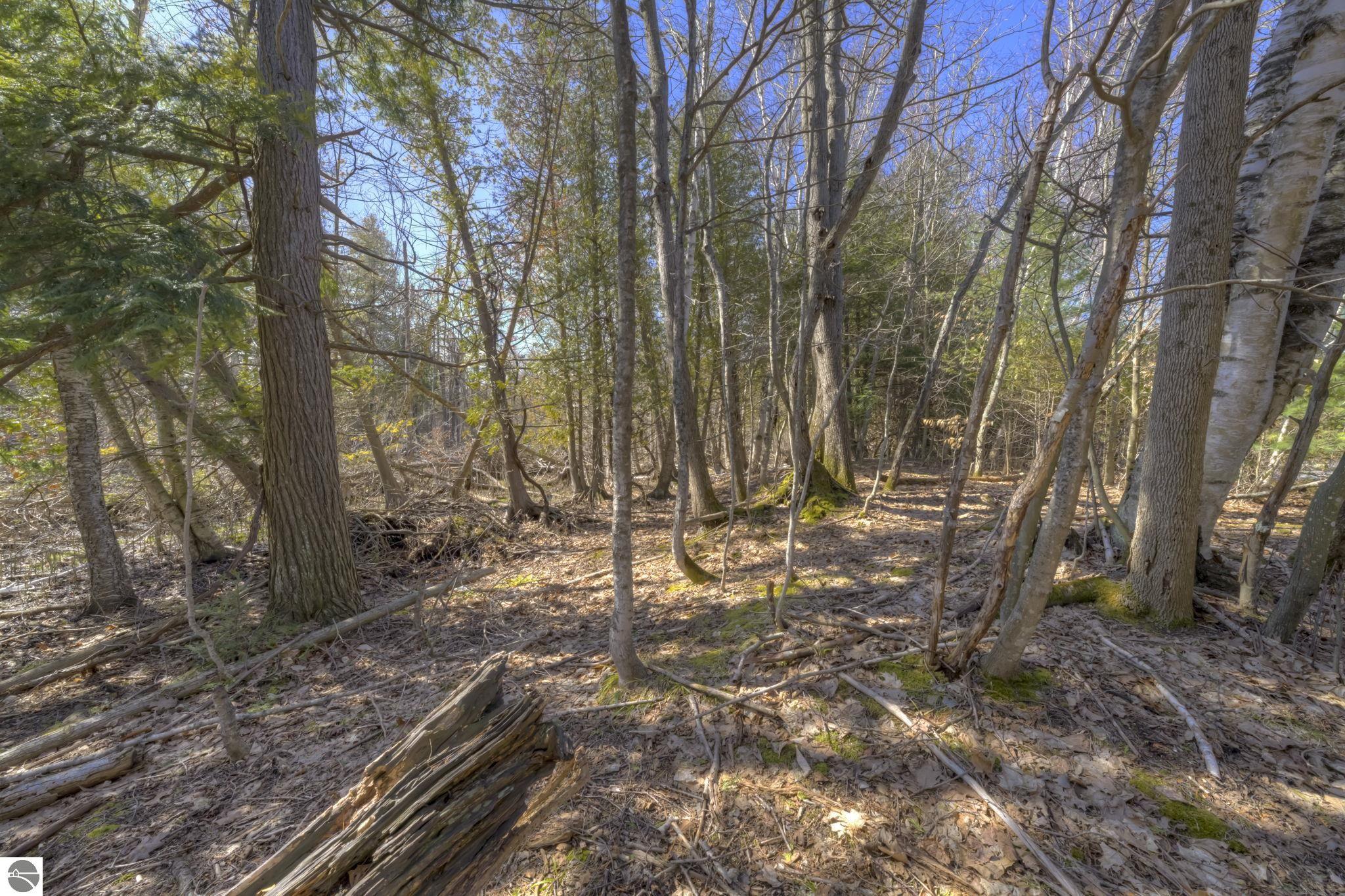 Lot 10 Micheals Woods Trail
