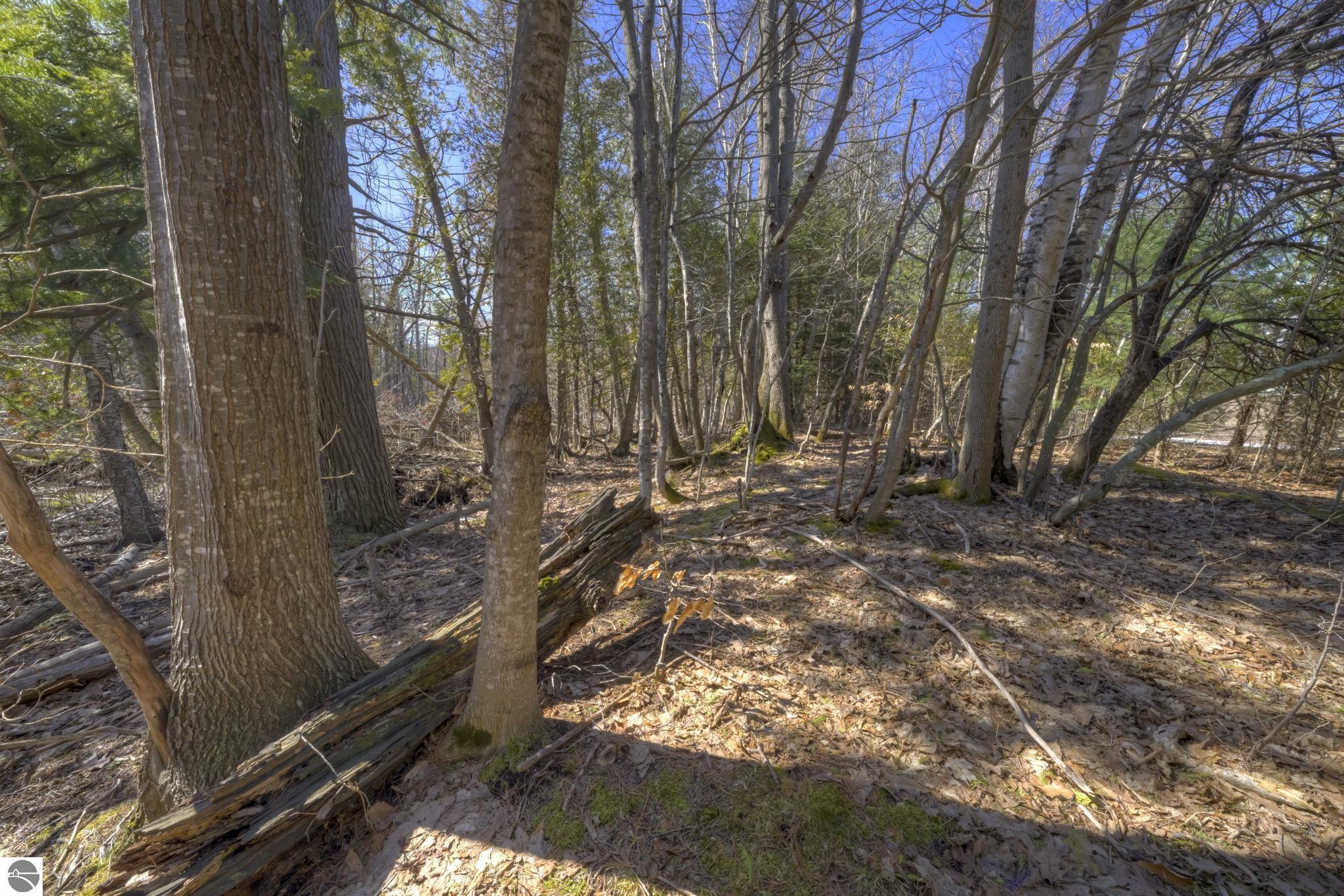 Lot 10 Micheals Woods Trail