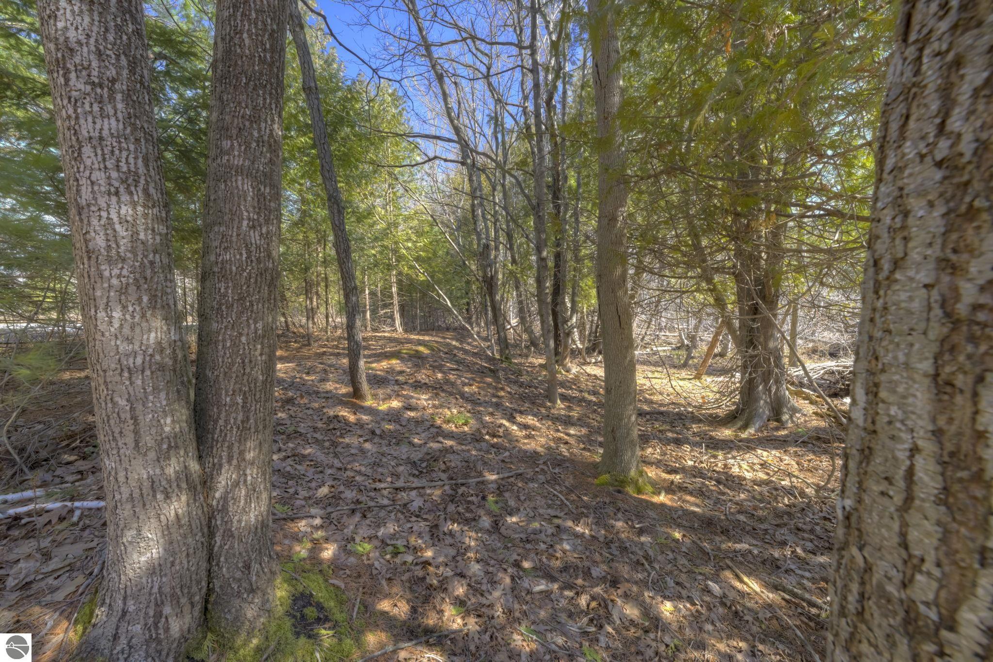 Lot 10 Micheals Woods Trail