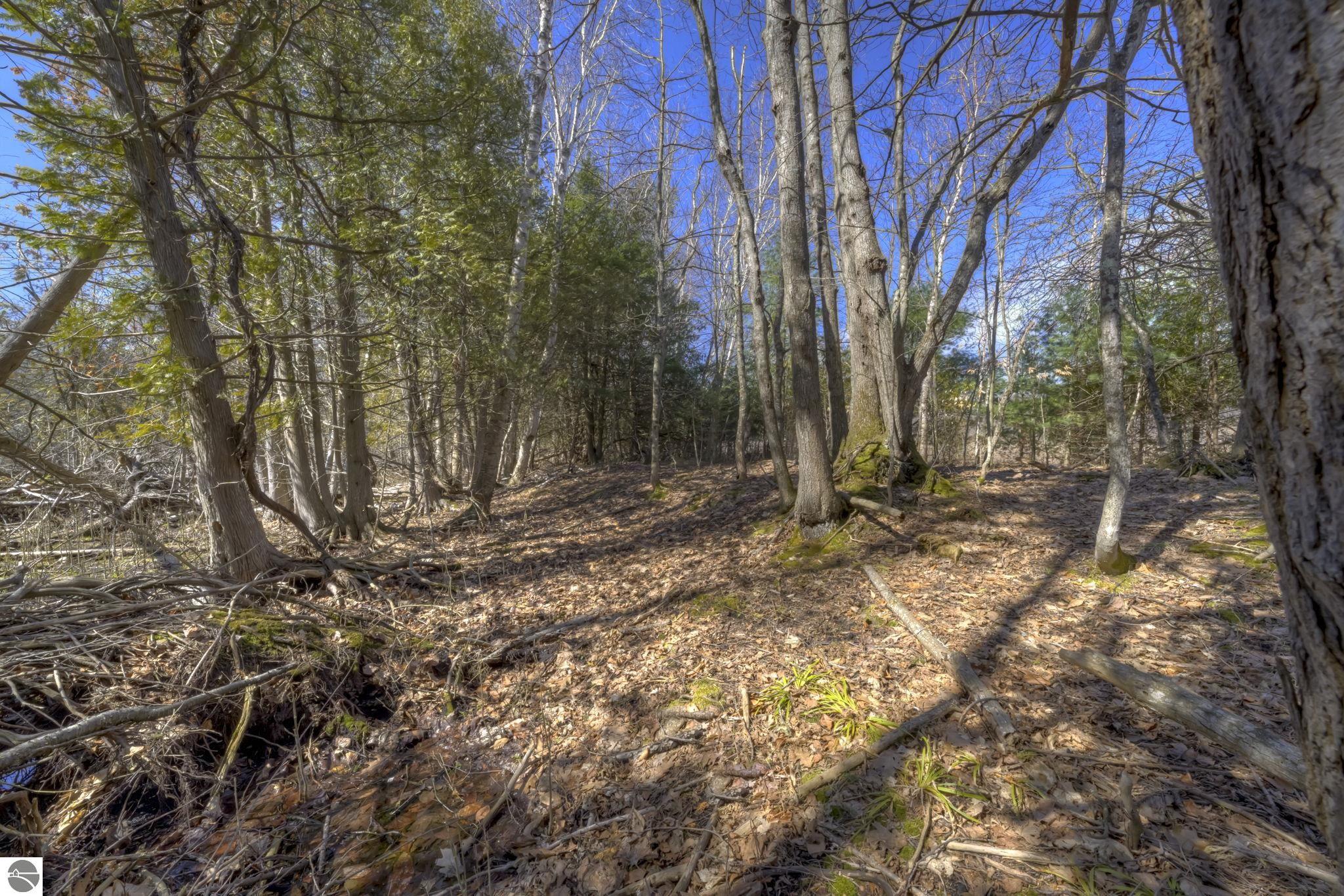 Lot 10 Micheals Woods Trail