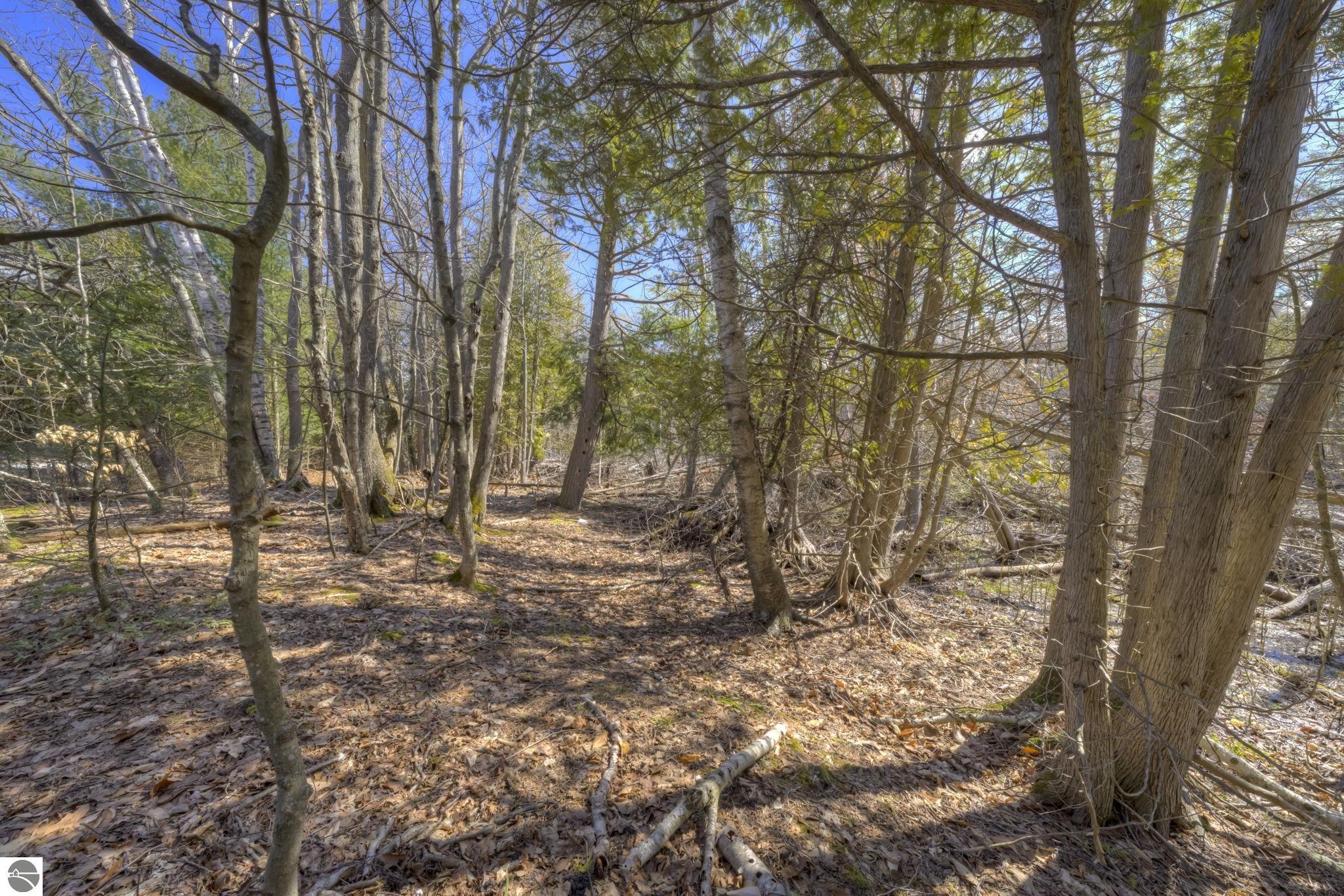 Lot 10 Micheals Woods Trail