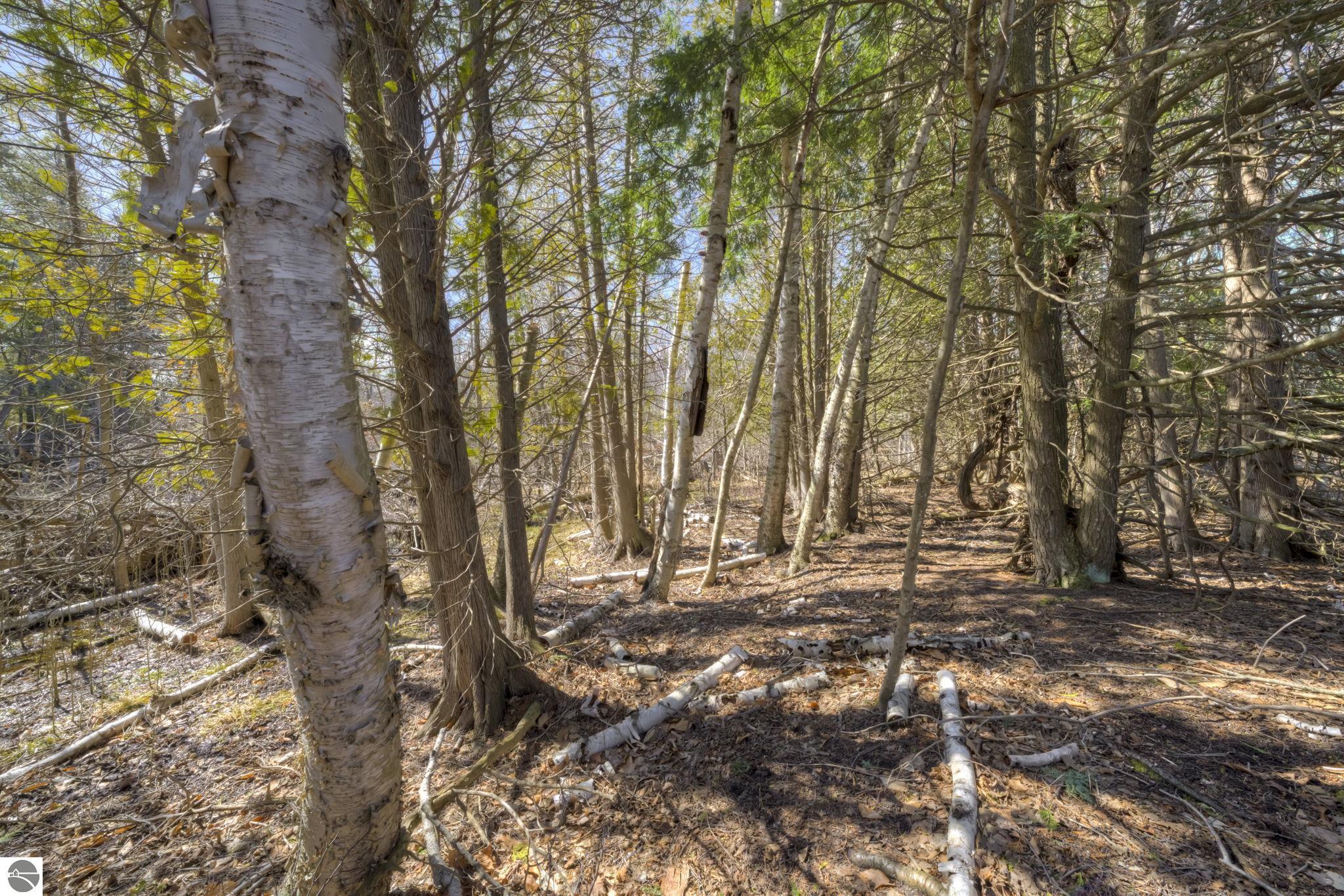 Lot 10 Micheals Woods Trail