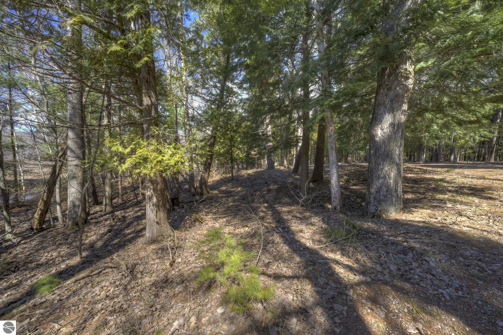 Lot 10 Micheals Woods Trail