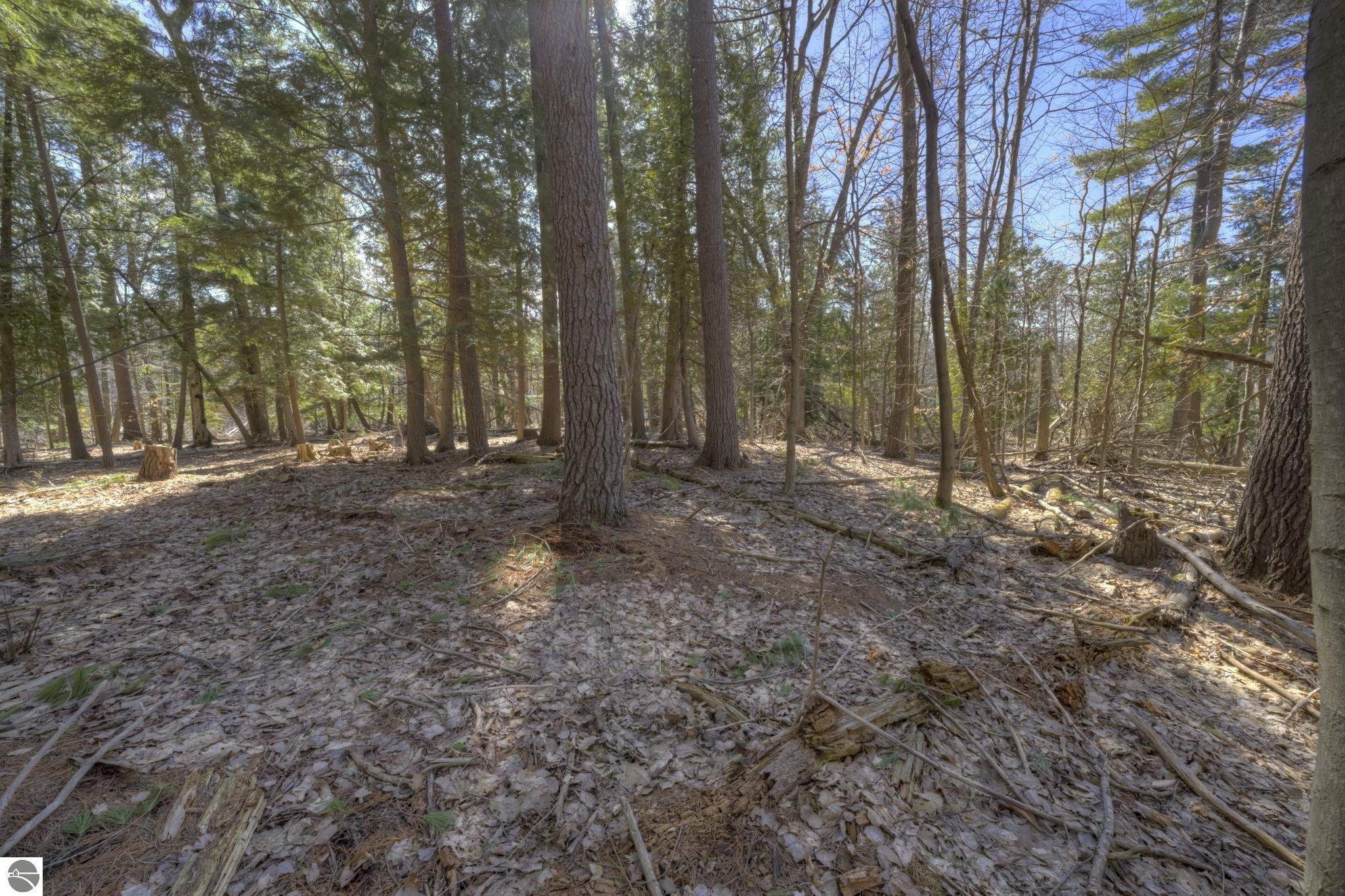 Lot 10 Micheals Woods Trail