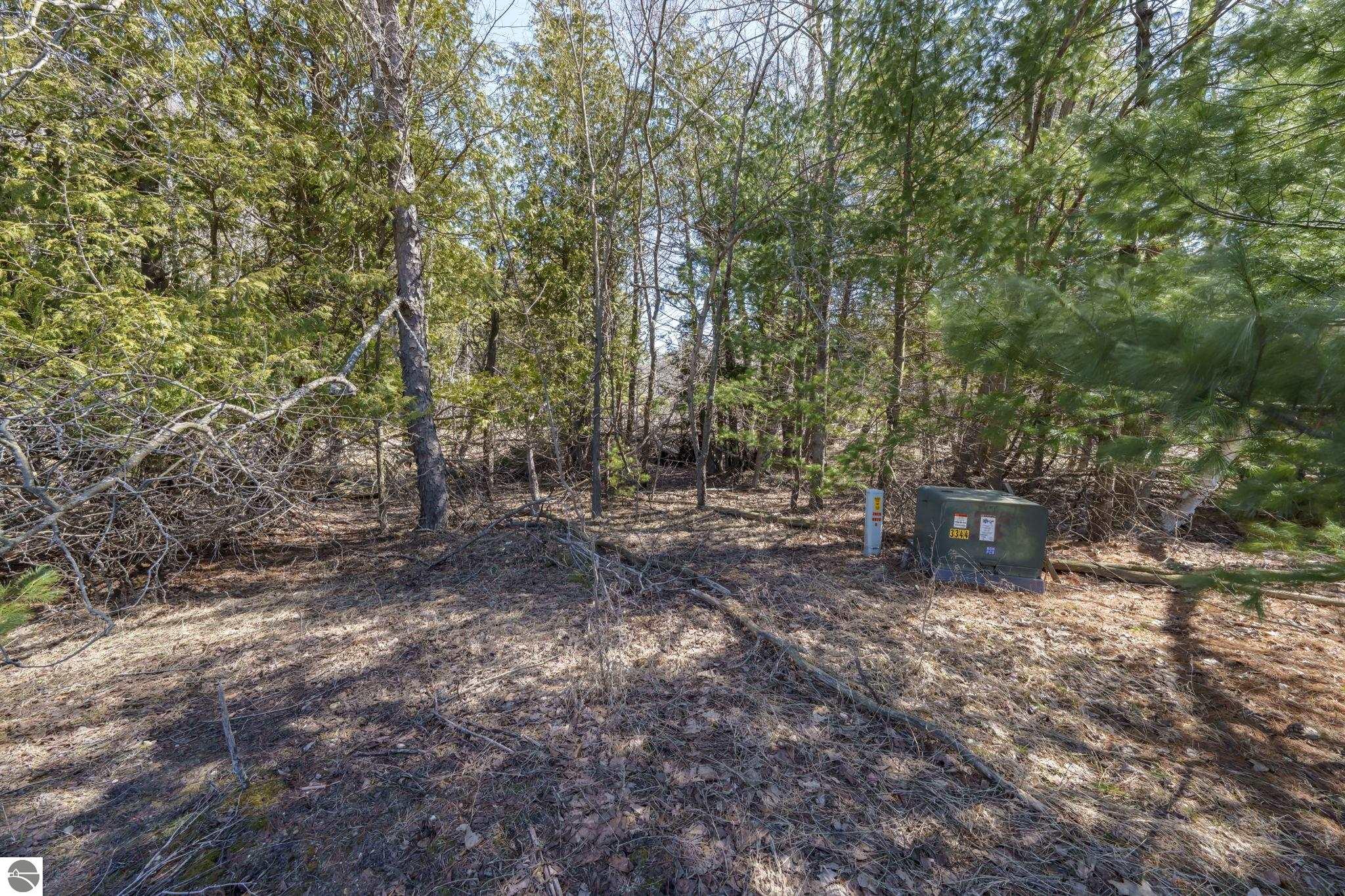 Lot 10 Micheals Woods Trail
