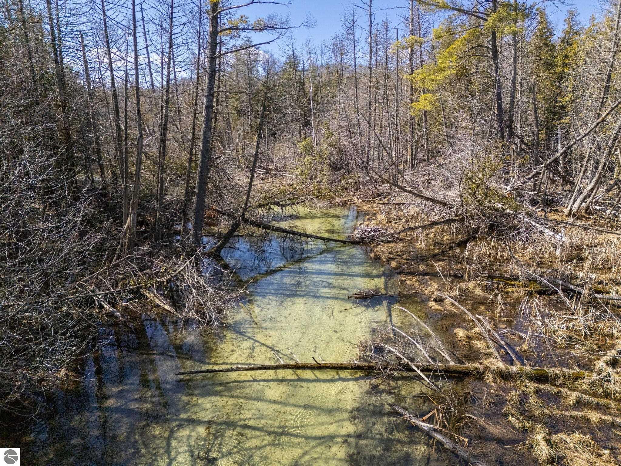 Lot 10 Micheals Woods Trail