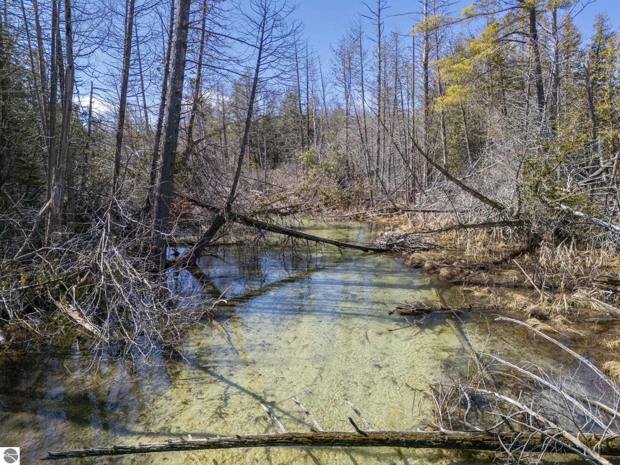 Lot 10 Micheals Woods Trail