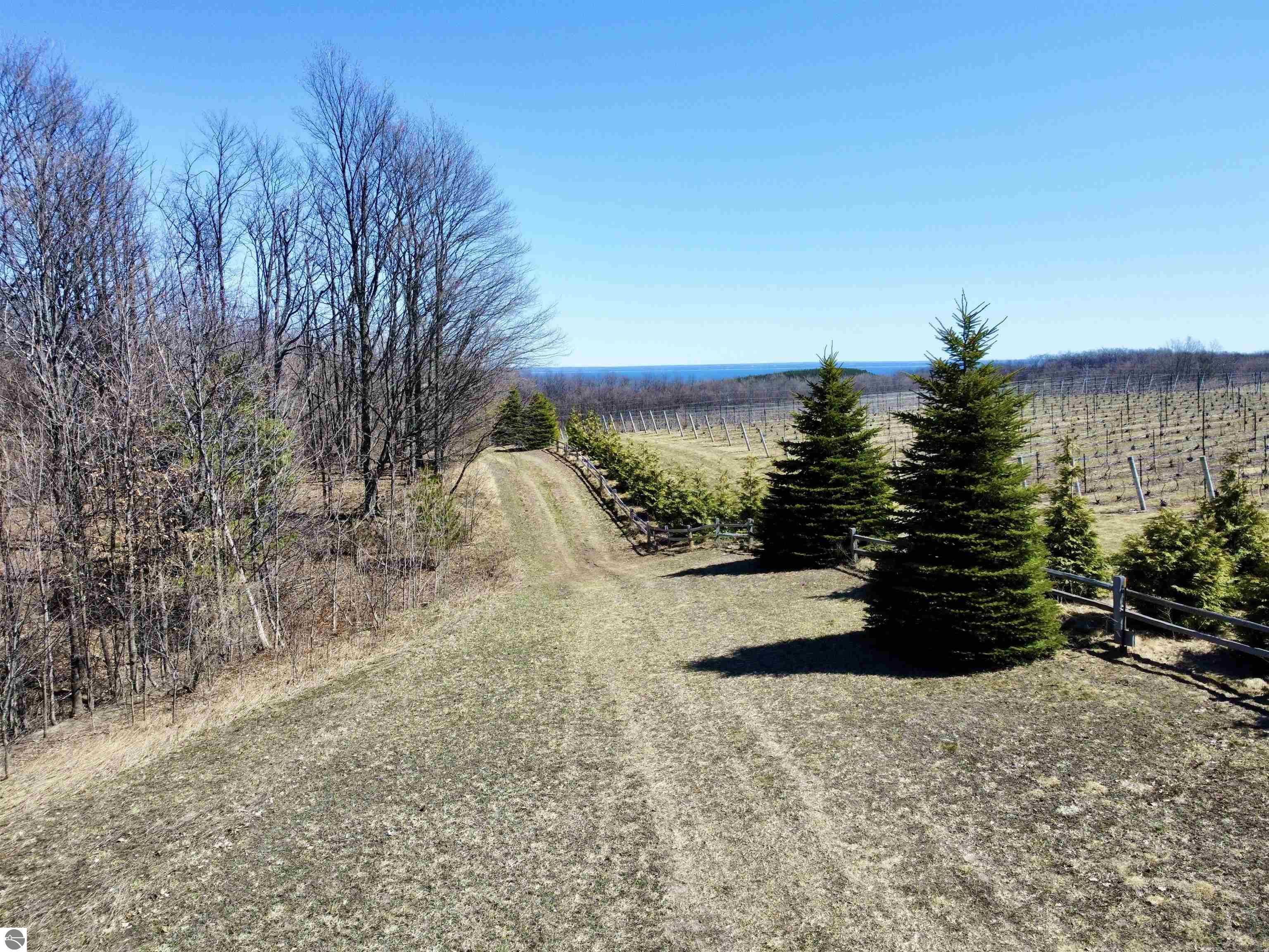 Swede Road