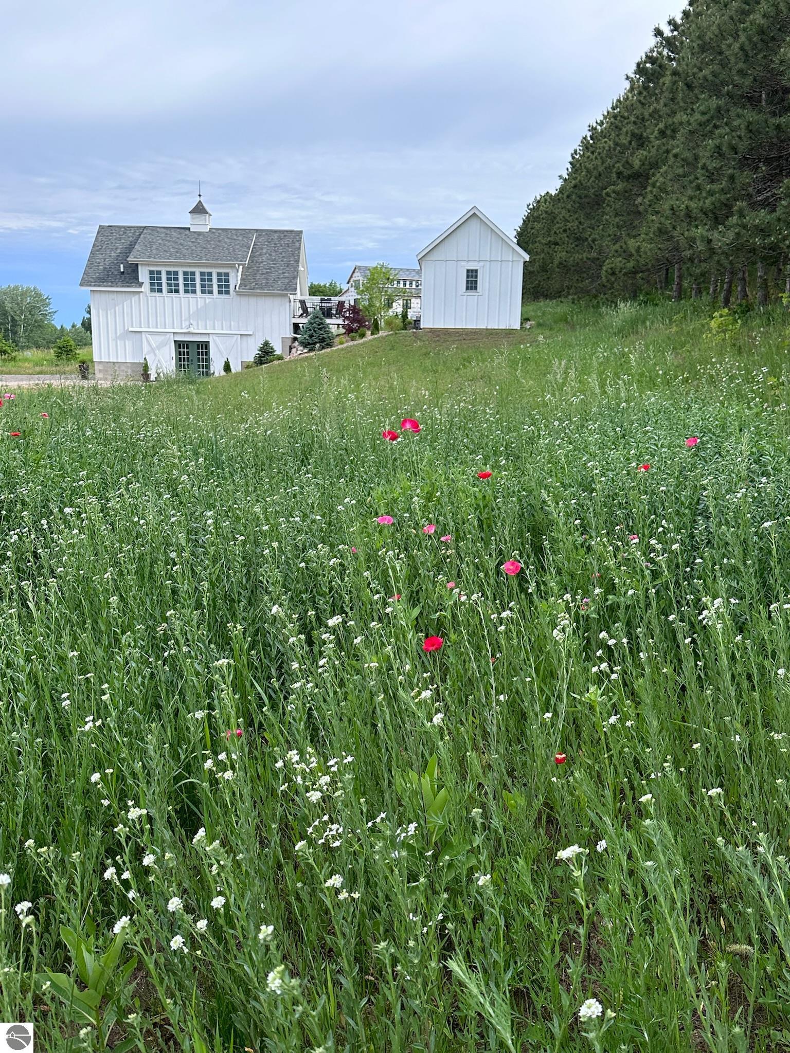 2494 Setterbo Road