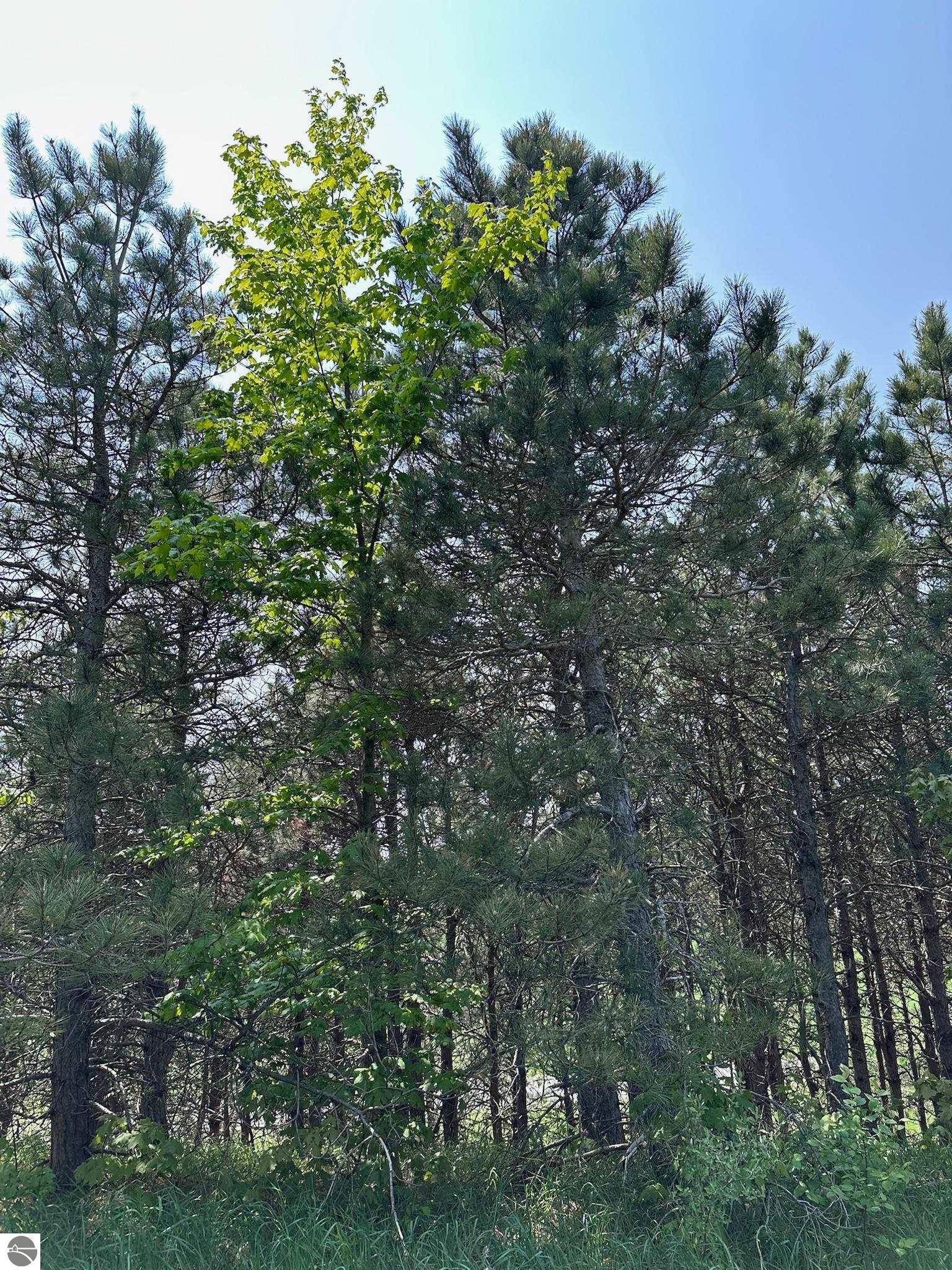 2494 Setterbo Road