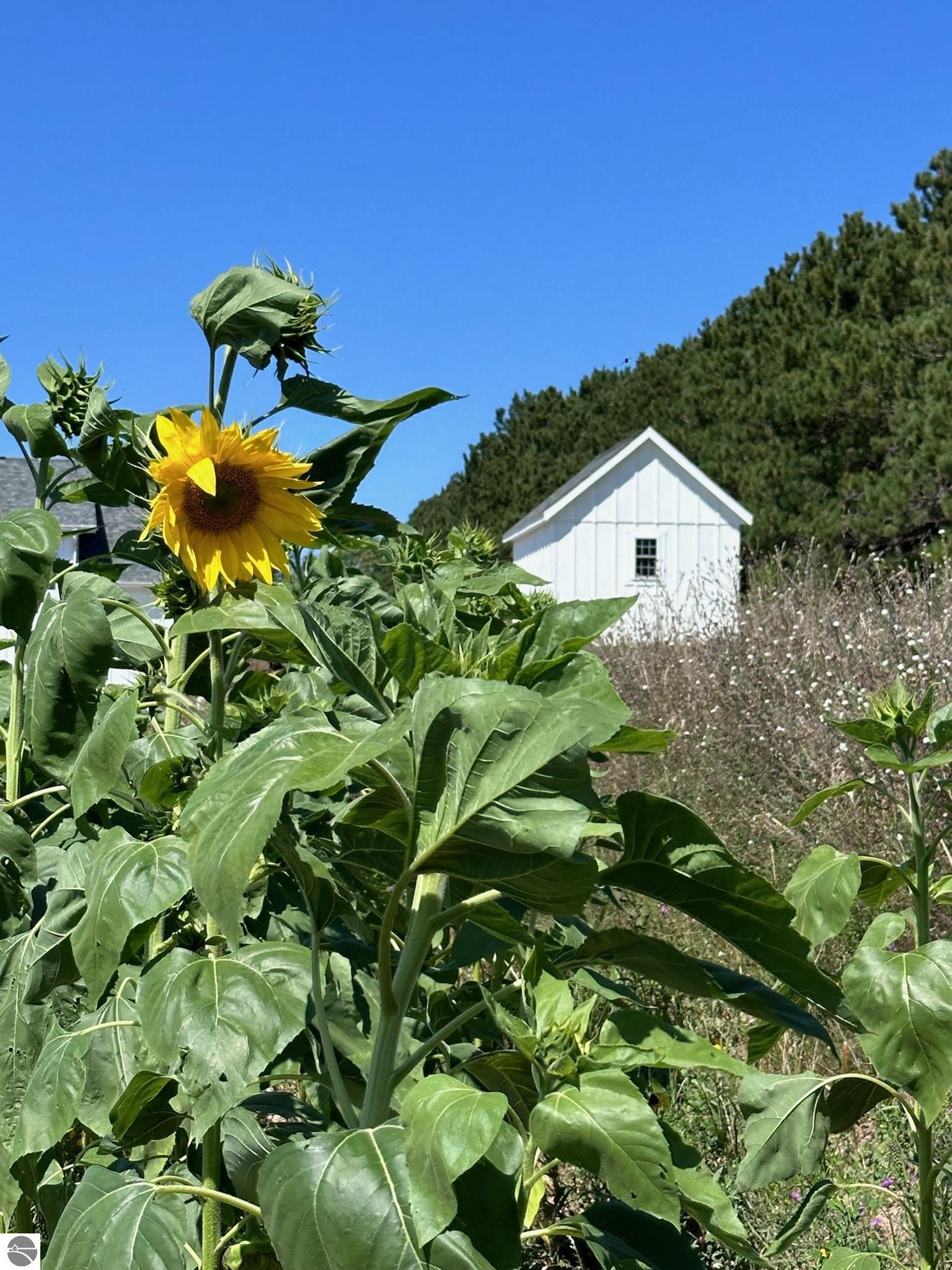 2494 Setterbo Road
