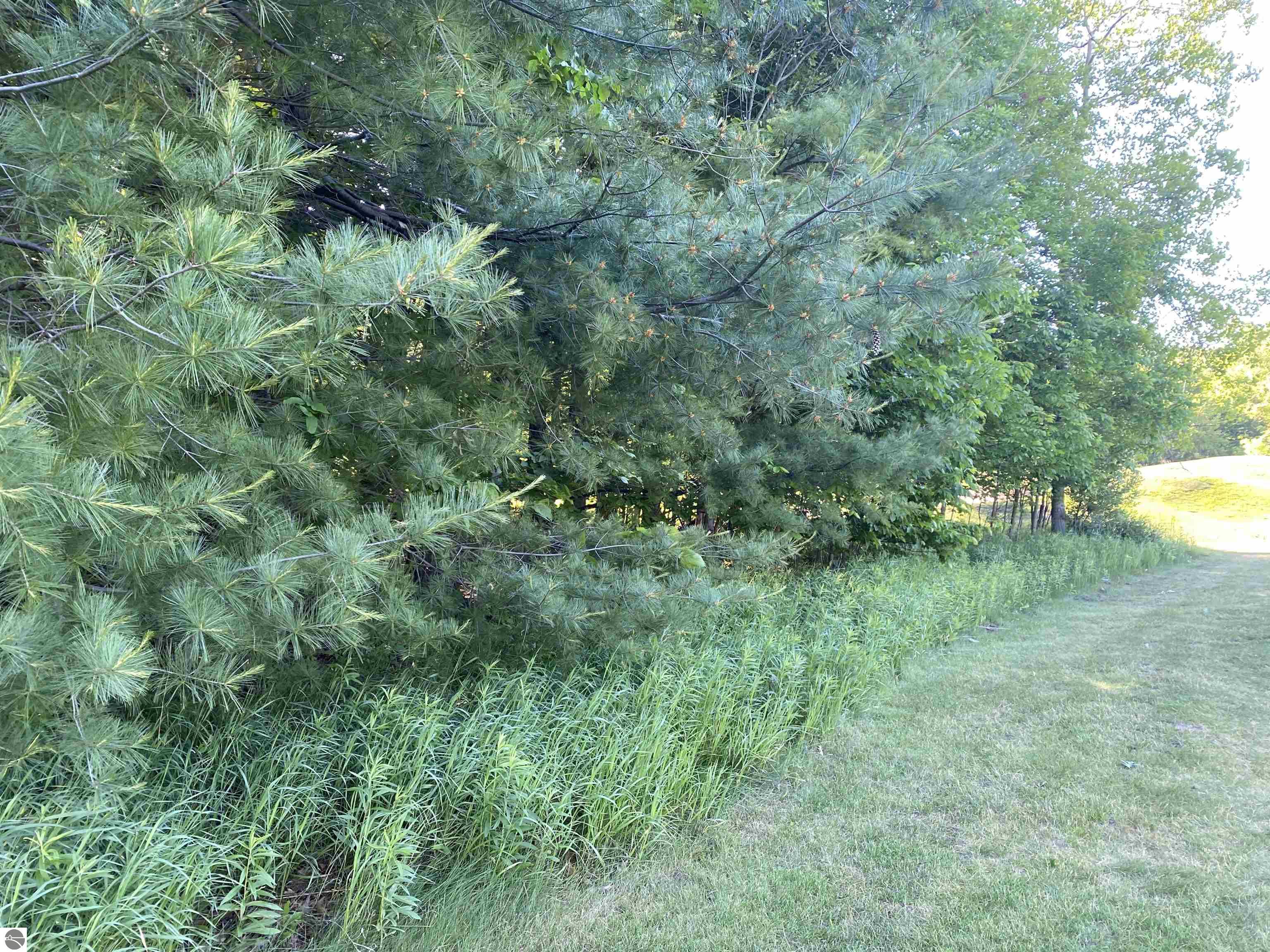 Lot 10 Club Drive