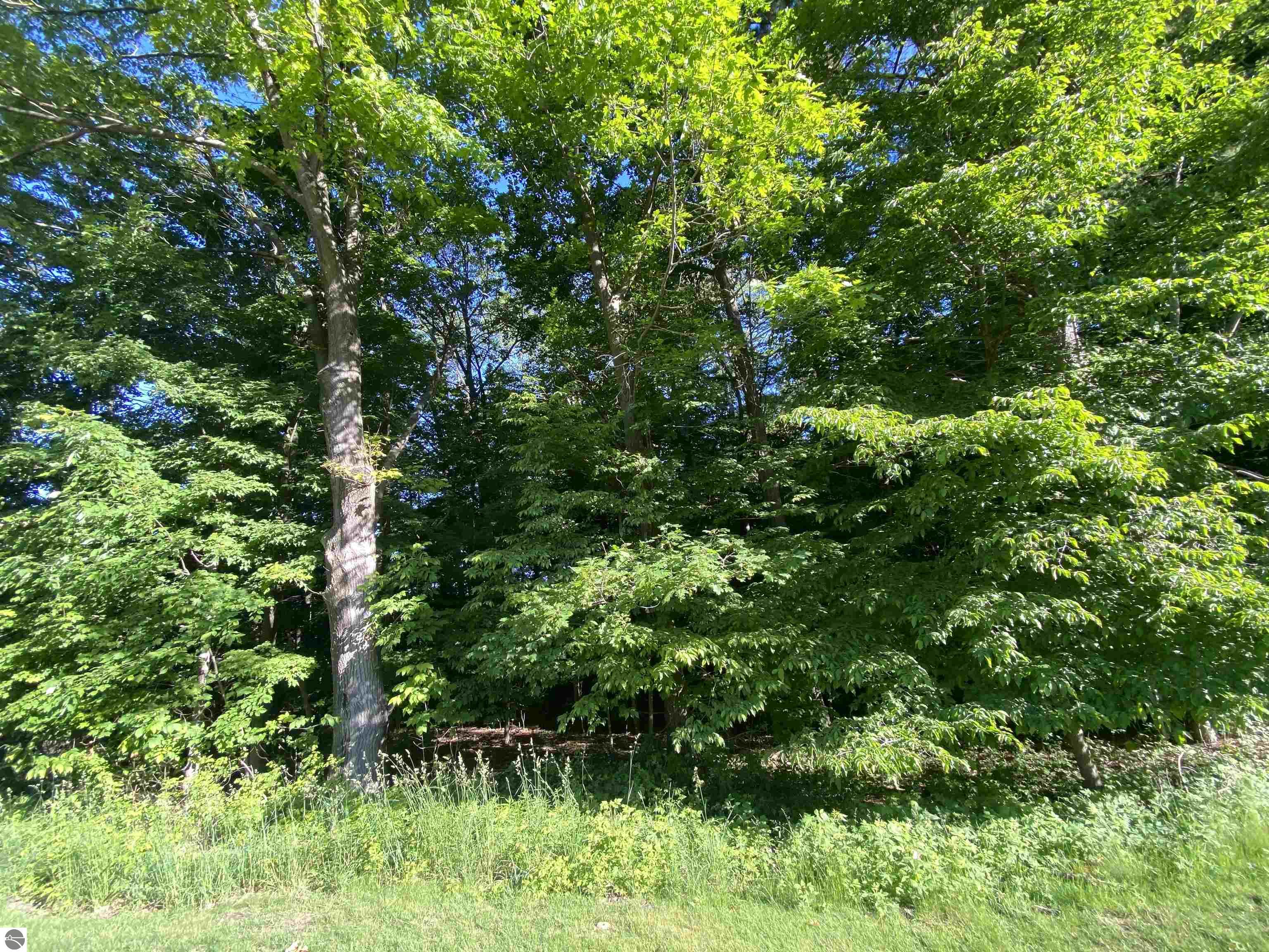 Lot 10 Club Drive