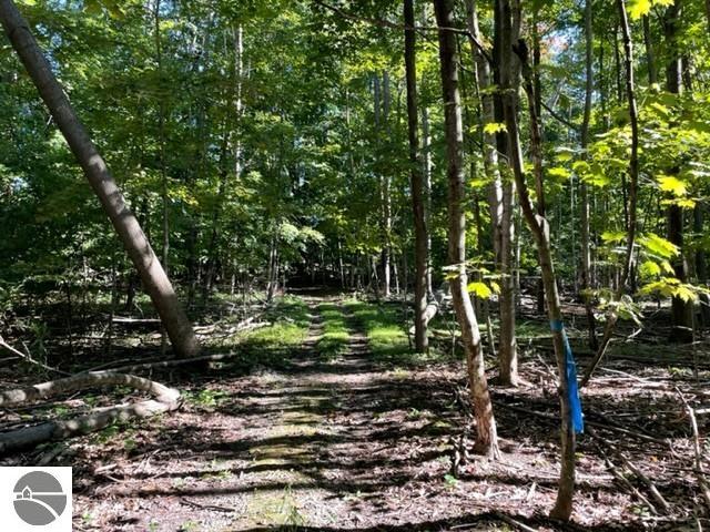 0 Manitou Trail