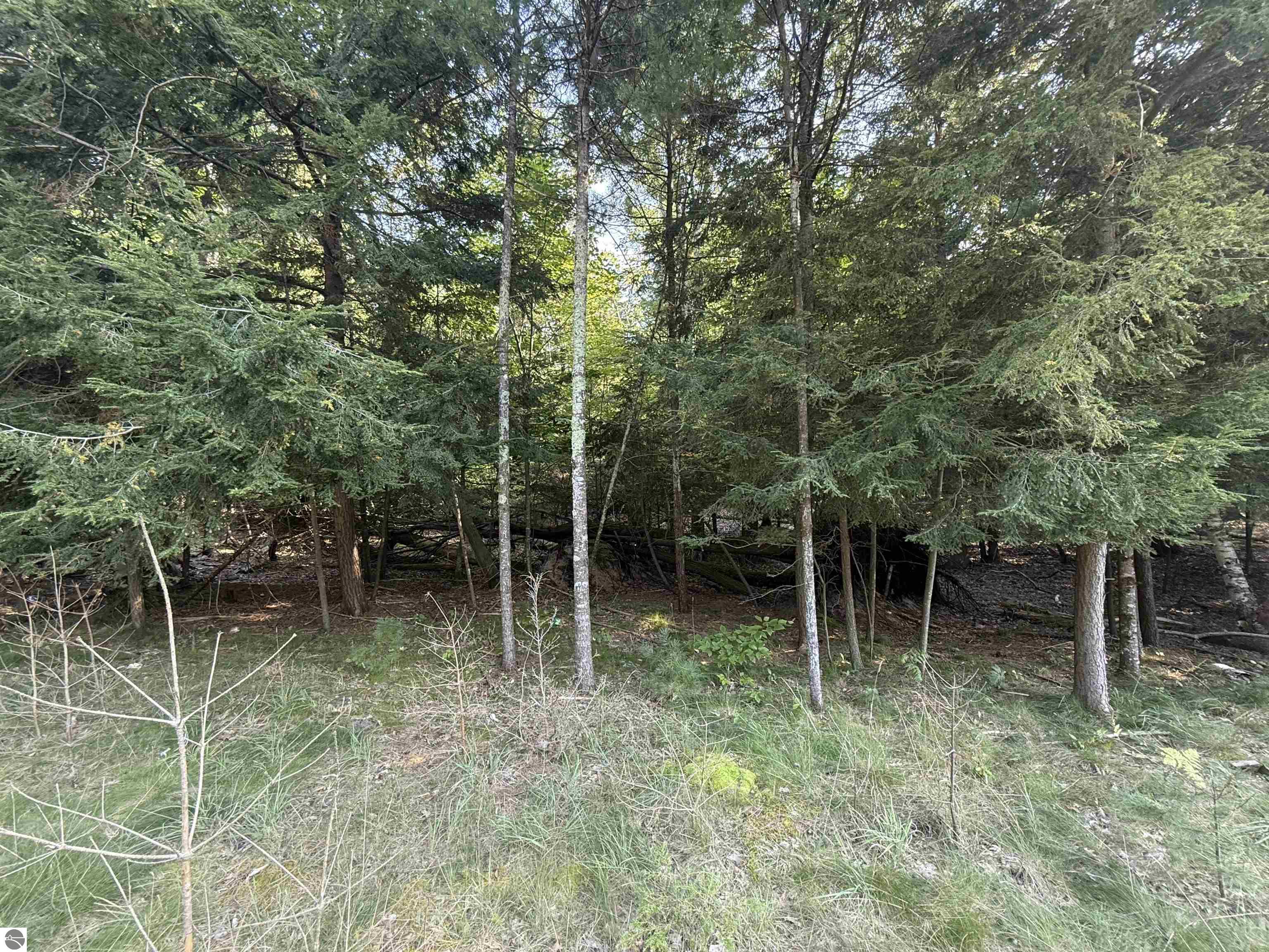 Lot 57 Harbor Highway