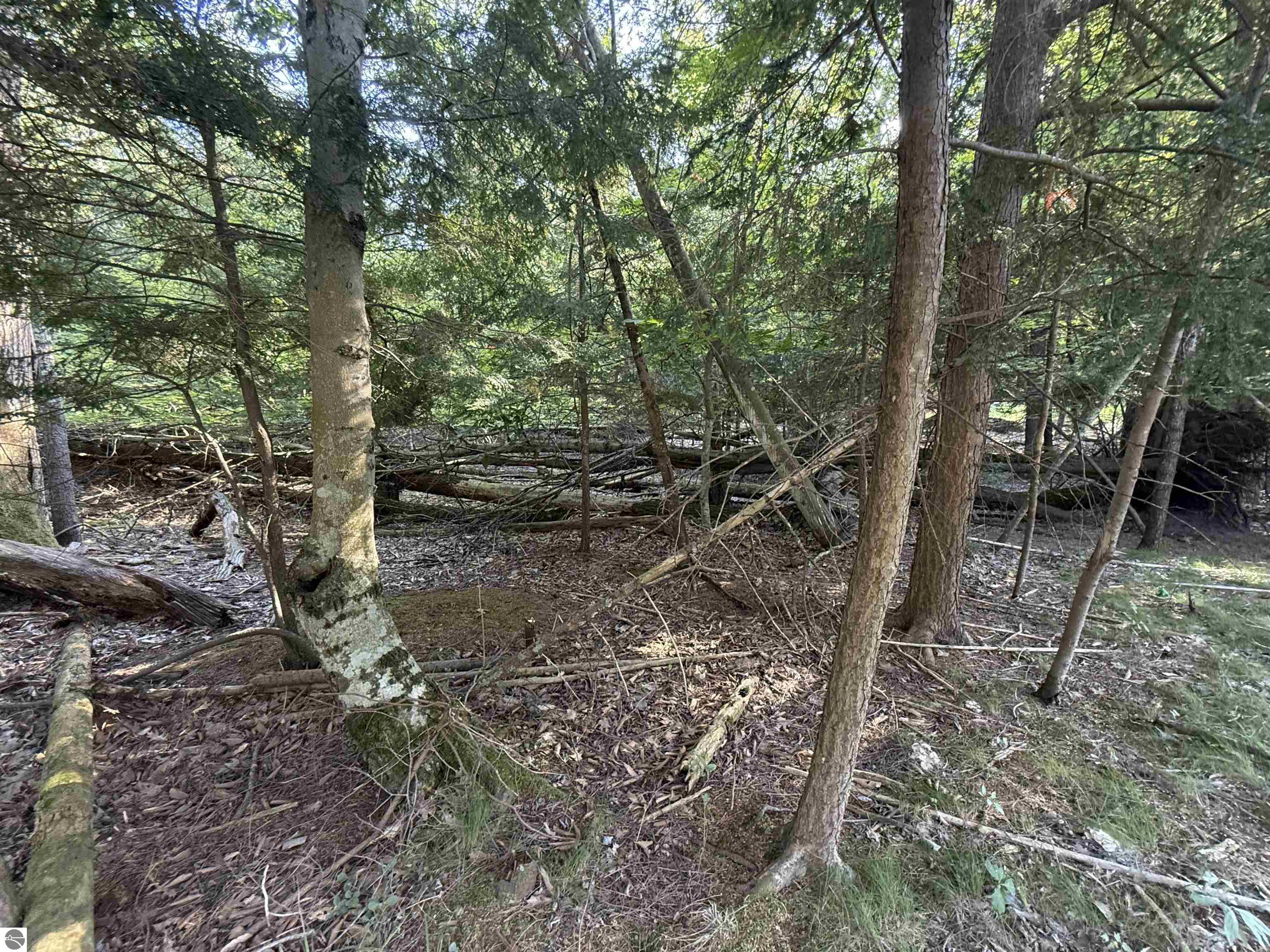 Lot 57 Harbor Highway
