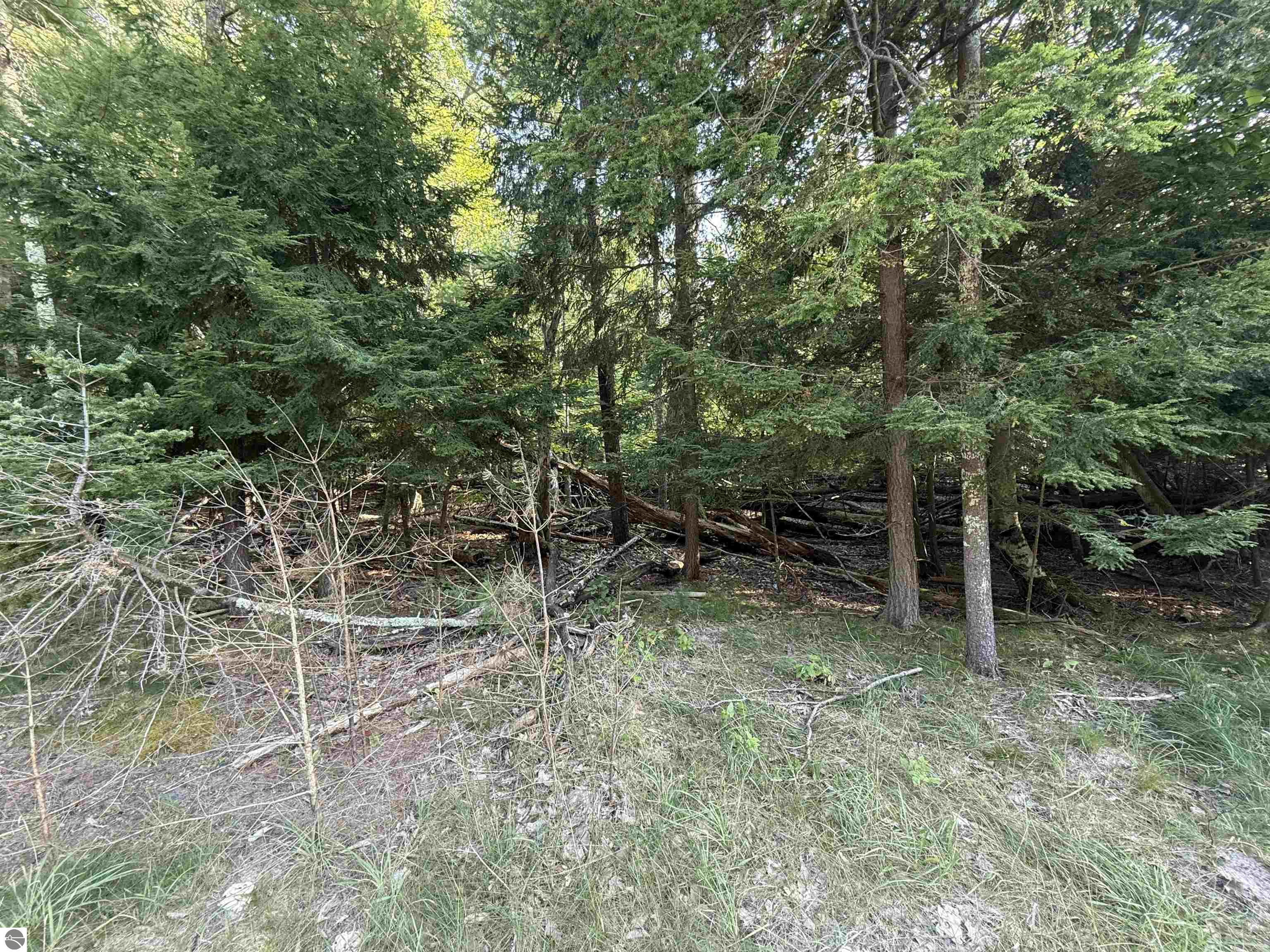 Lot 58 Harbor Highway